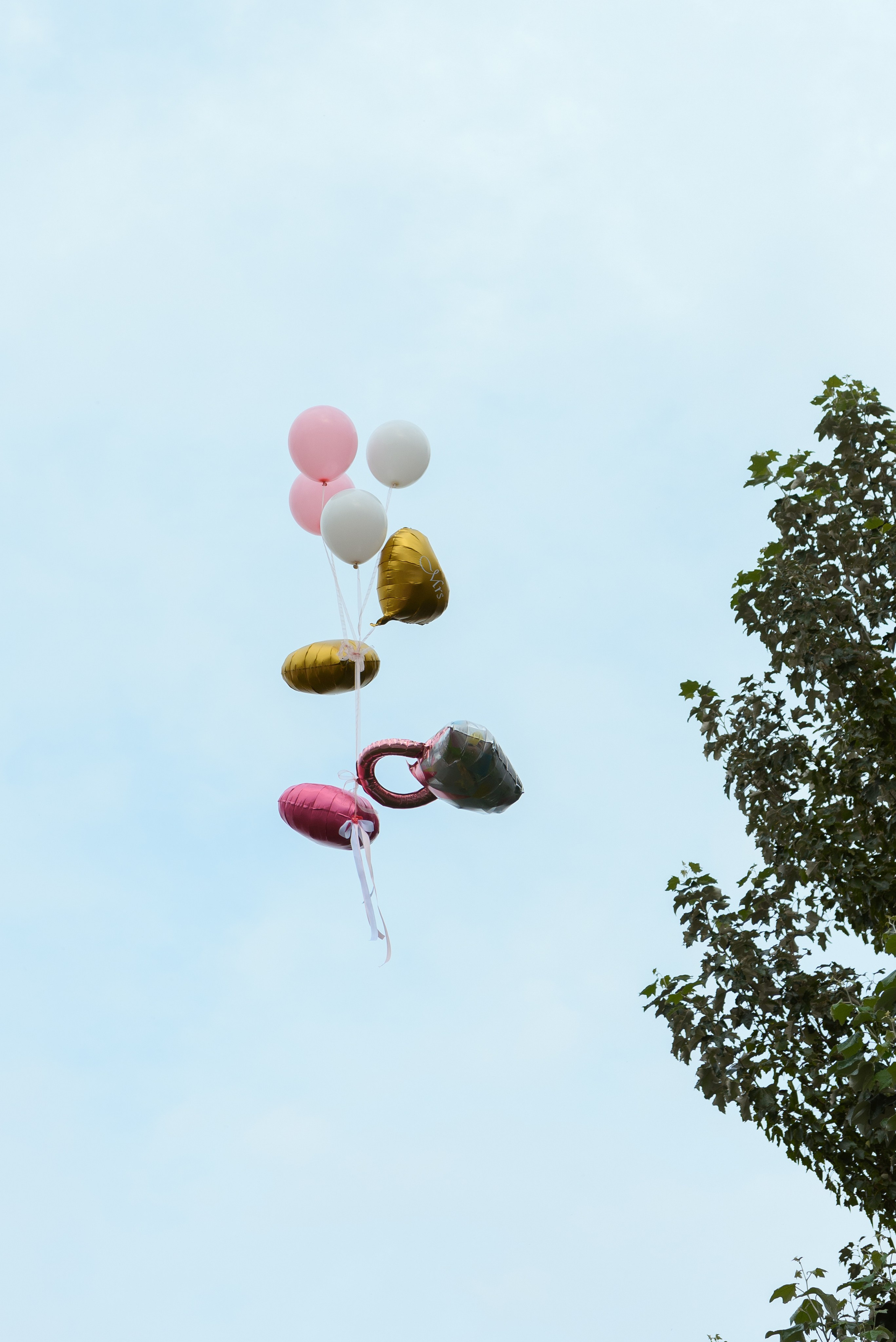 Андрей и Леся. Свадебный фотограф Кузьмина Лилия