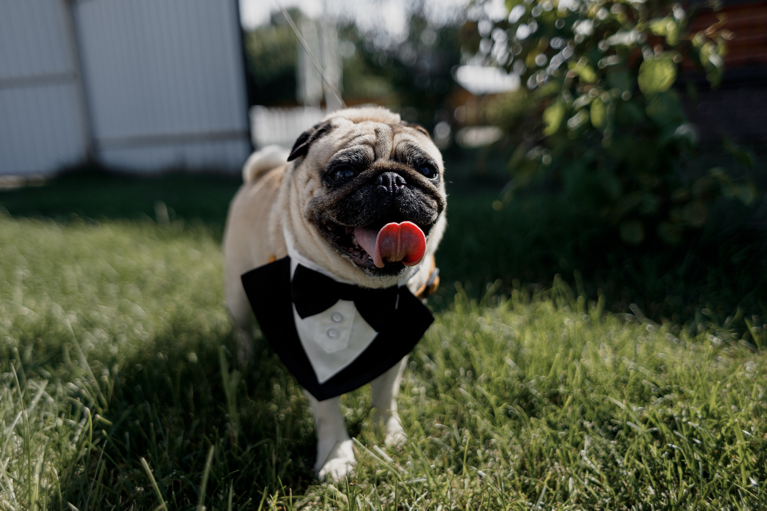 Love is about pleasing each other every day. Свадебный фотограф Дмитрий Воробьев Ярославль