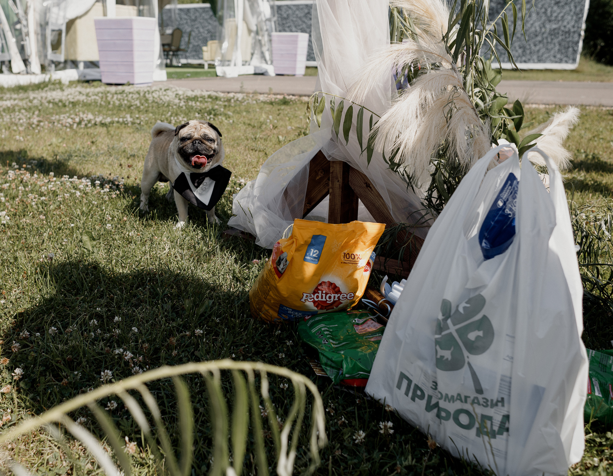 Love is about pleasing each other every day. Свадебный фотограф Дмитрий Воробьев Ярославль