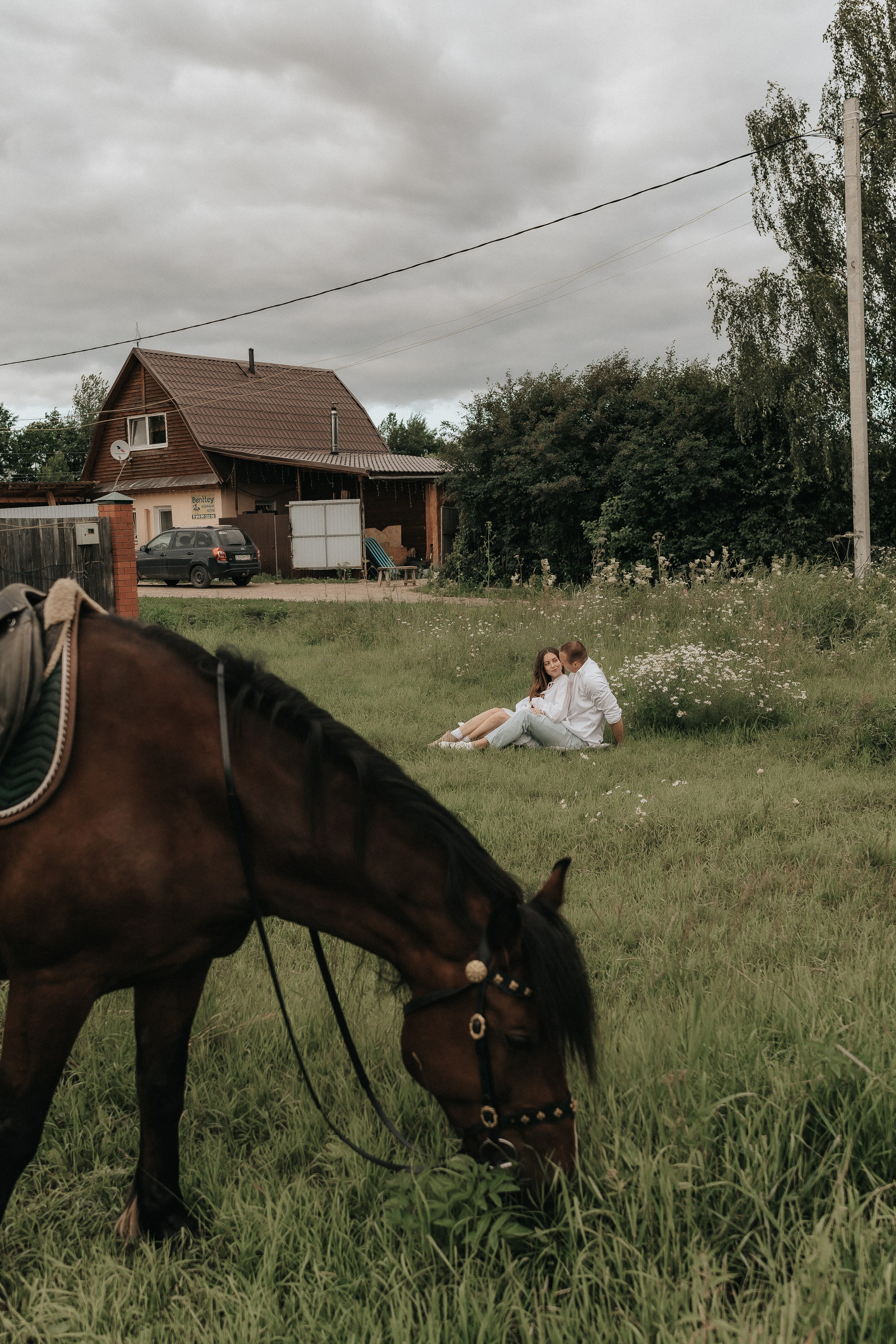 Love Story с лошадьми. Свадебный фотограф Пермь