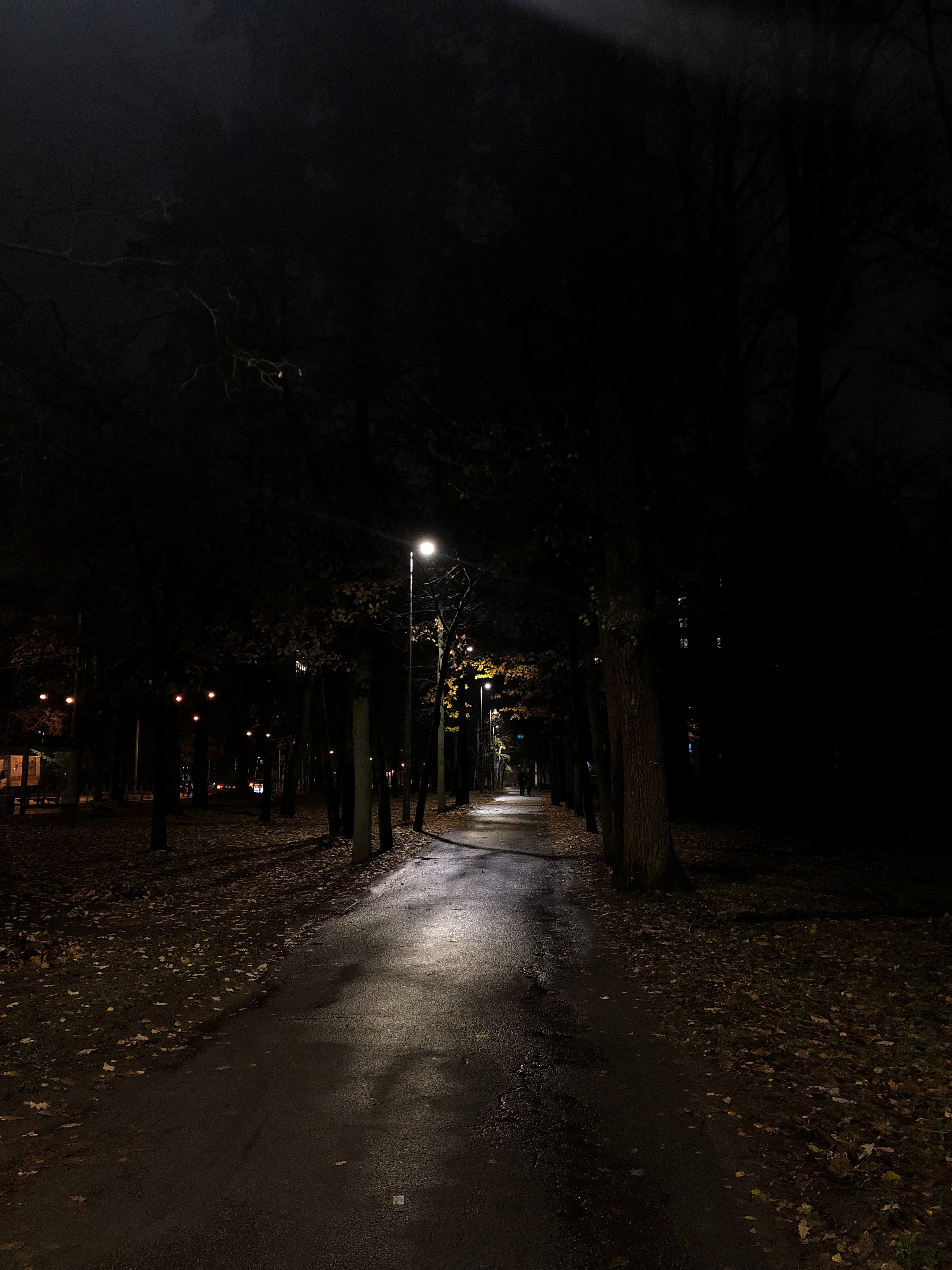 Ноябрь. Семейный, Свадебный фотограф СПБ Питер— Романова Екатерина