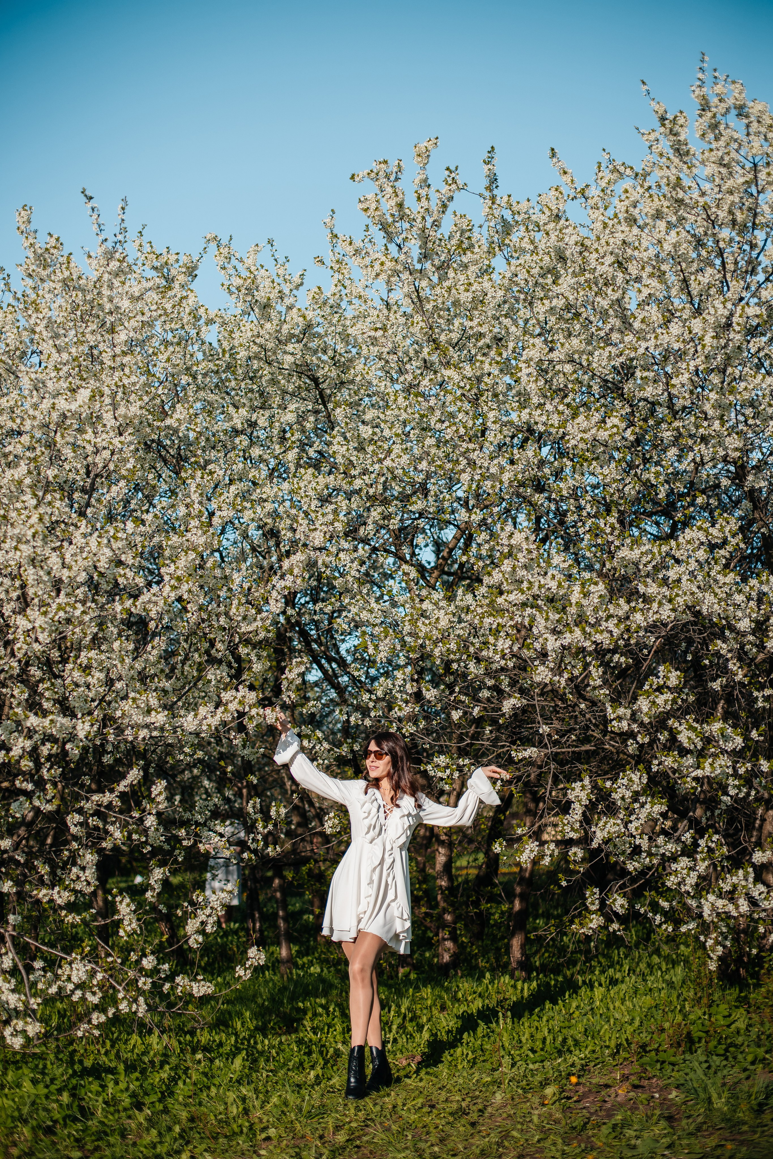 Вишня. Анастасия Давыдова