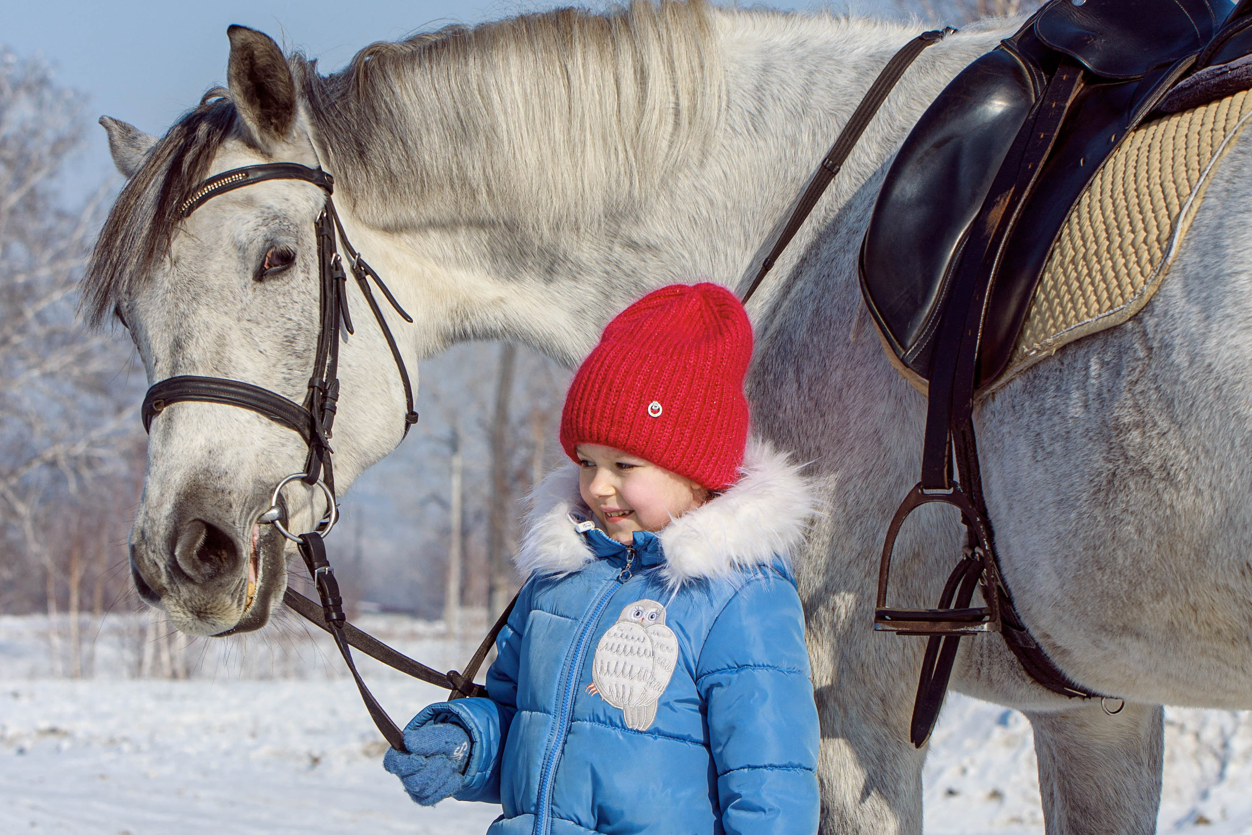 База отдыха Бабушкина дача. Конный фотограф в Красноярске — Любовь Похабова