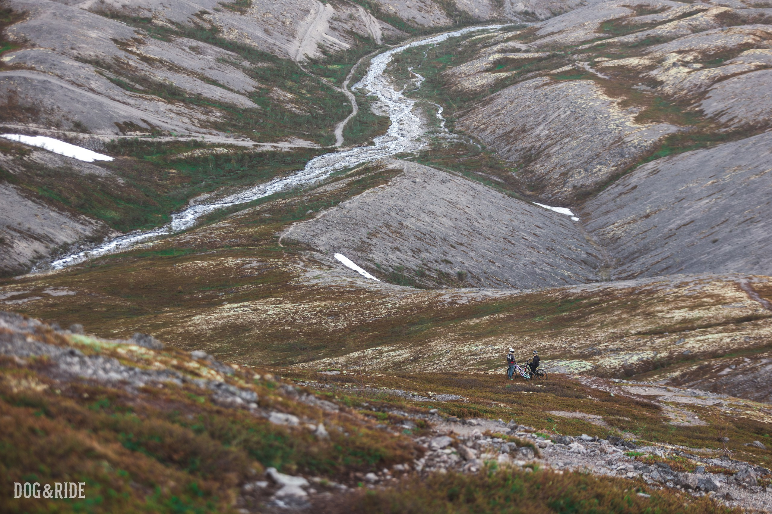 Хибины. Фотограф анималист Никита Натальный