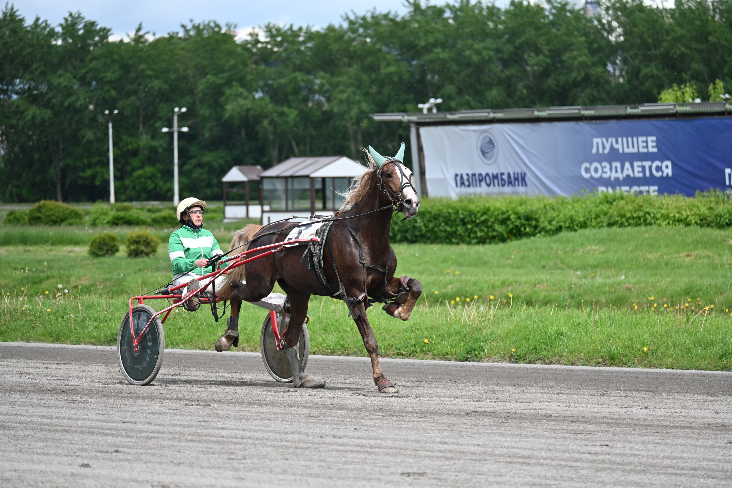 Московский ипподром. Fotolux