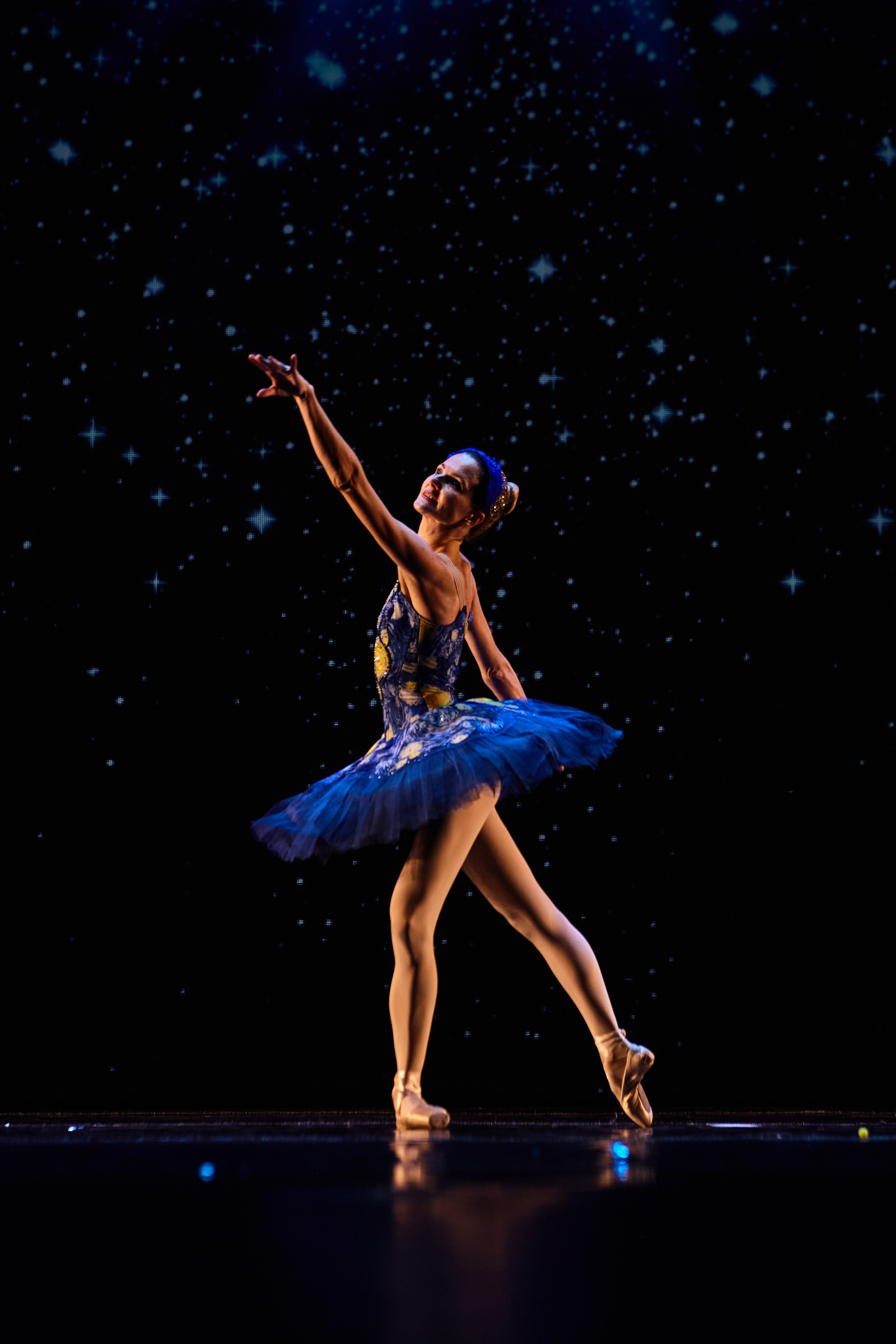 Концерты. Виолетта Скрипка