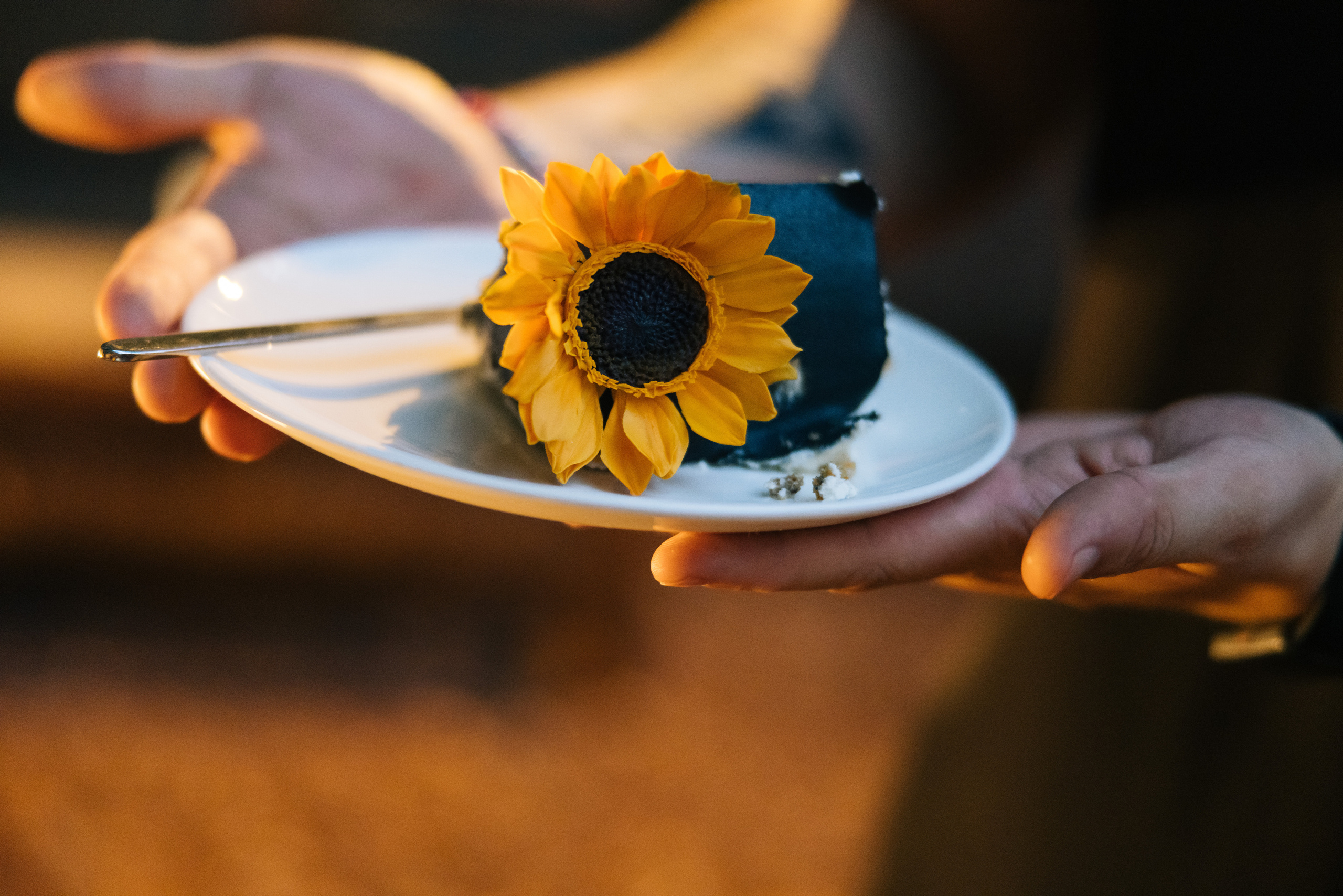 Openair summer wedding. Свадебный фотограф Катя Мухина | Москва