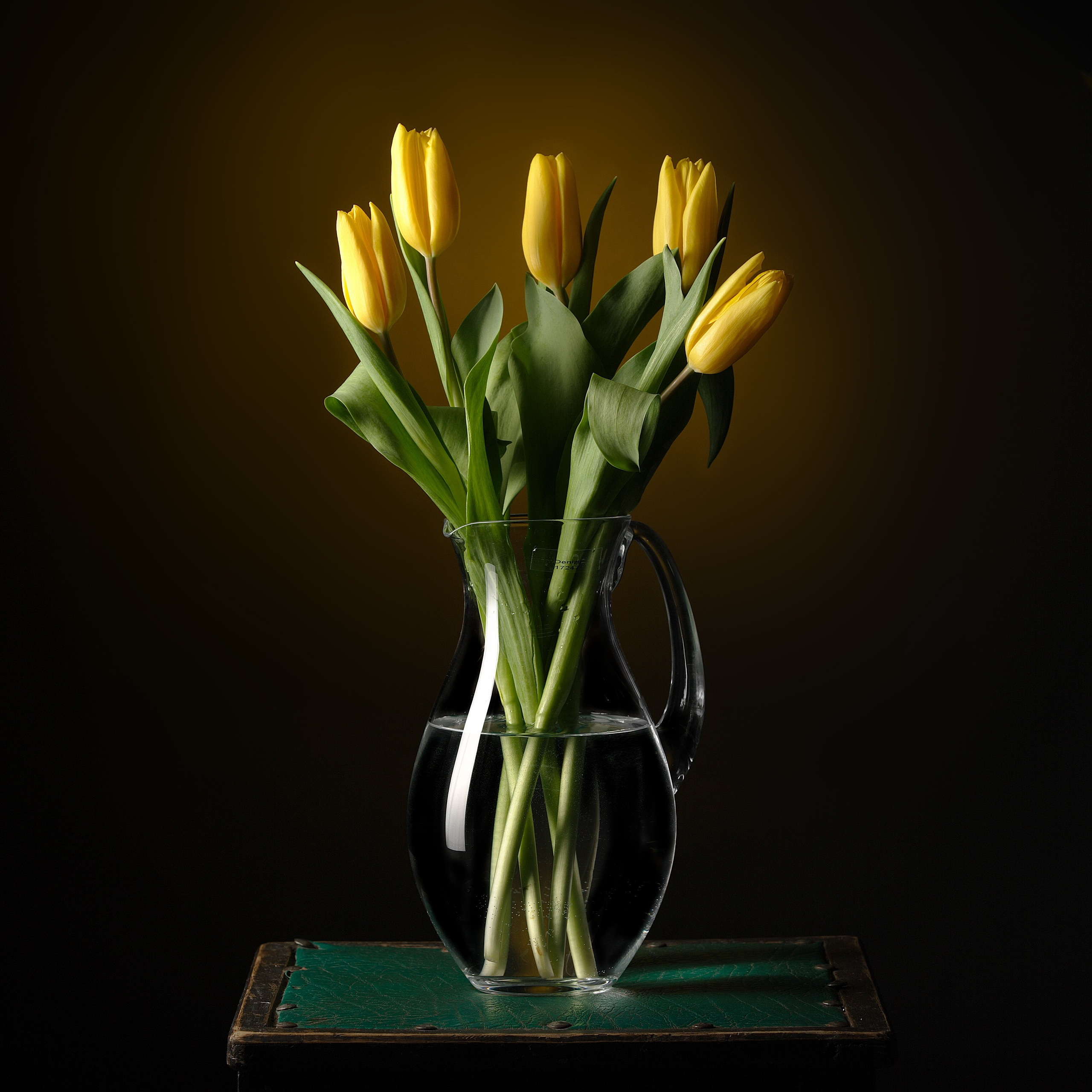 Цветы. Фотограф Мария Кольцова