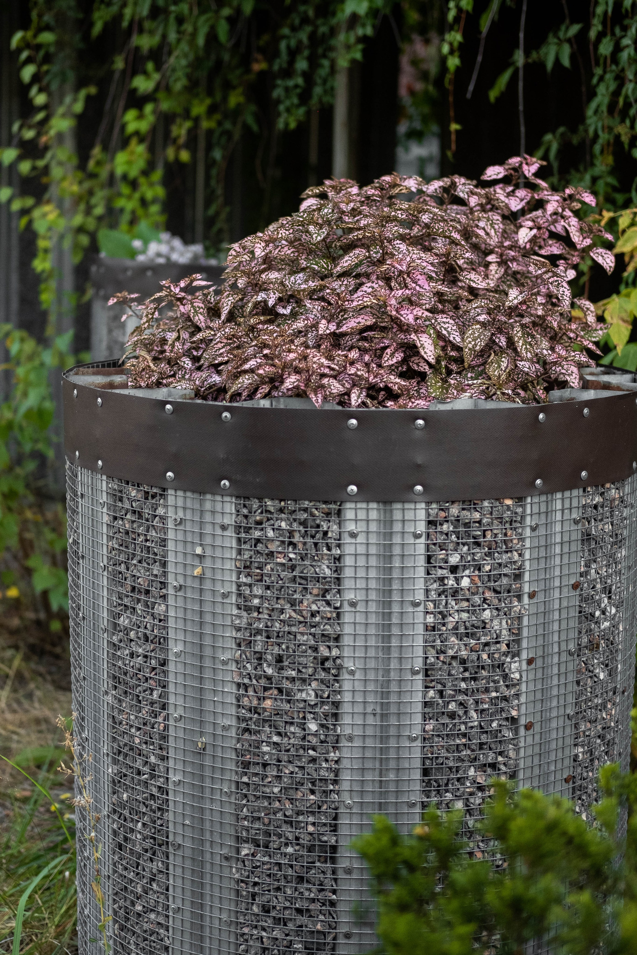 Москва 2024. Свадебный и семейный фотограф в Новосибирске, Санкт-Петербурге, Москве