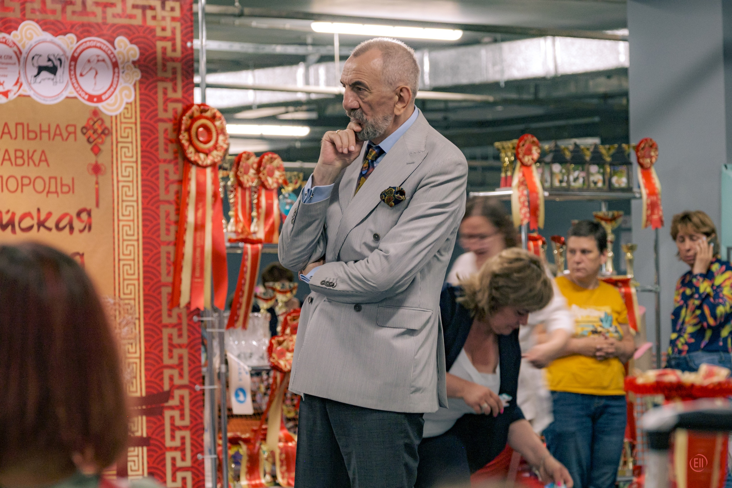 Национальная выставка китайских хохлатых собак 2023. Питомник китайских хохлатых собак Poale Ell: купить щенка