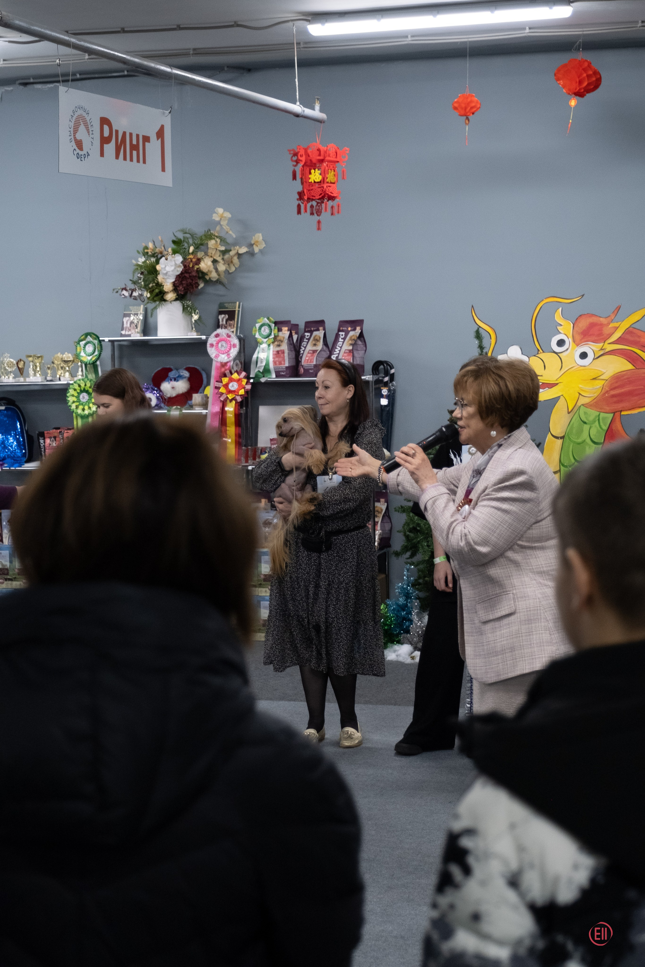 Праздник породы «Яркий мир китайских хохлатых собак». Питомник китайских хохлатых собак Poale Ell: купить щенка