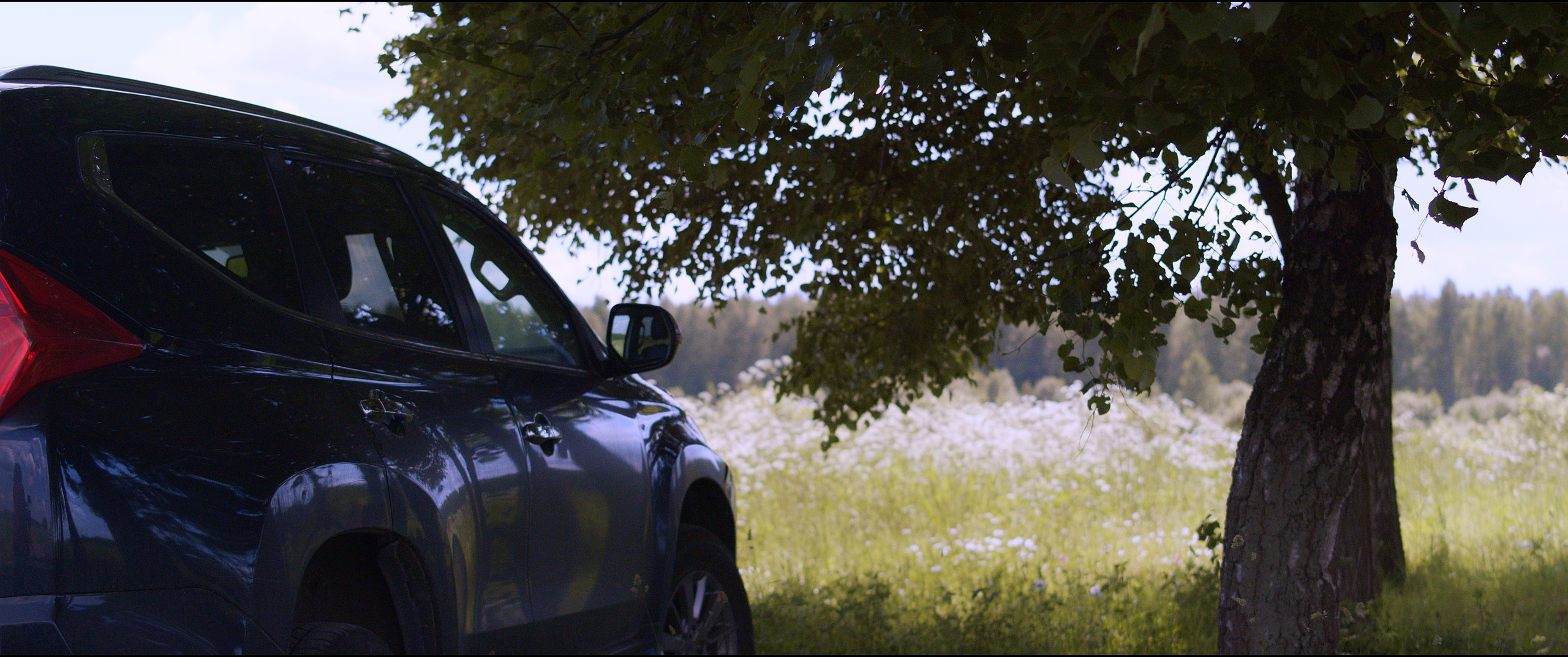 Footage from the interview. Poale Ell Chinese Crested Dog Kennel: Buy a puppy from the kennel