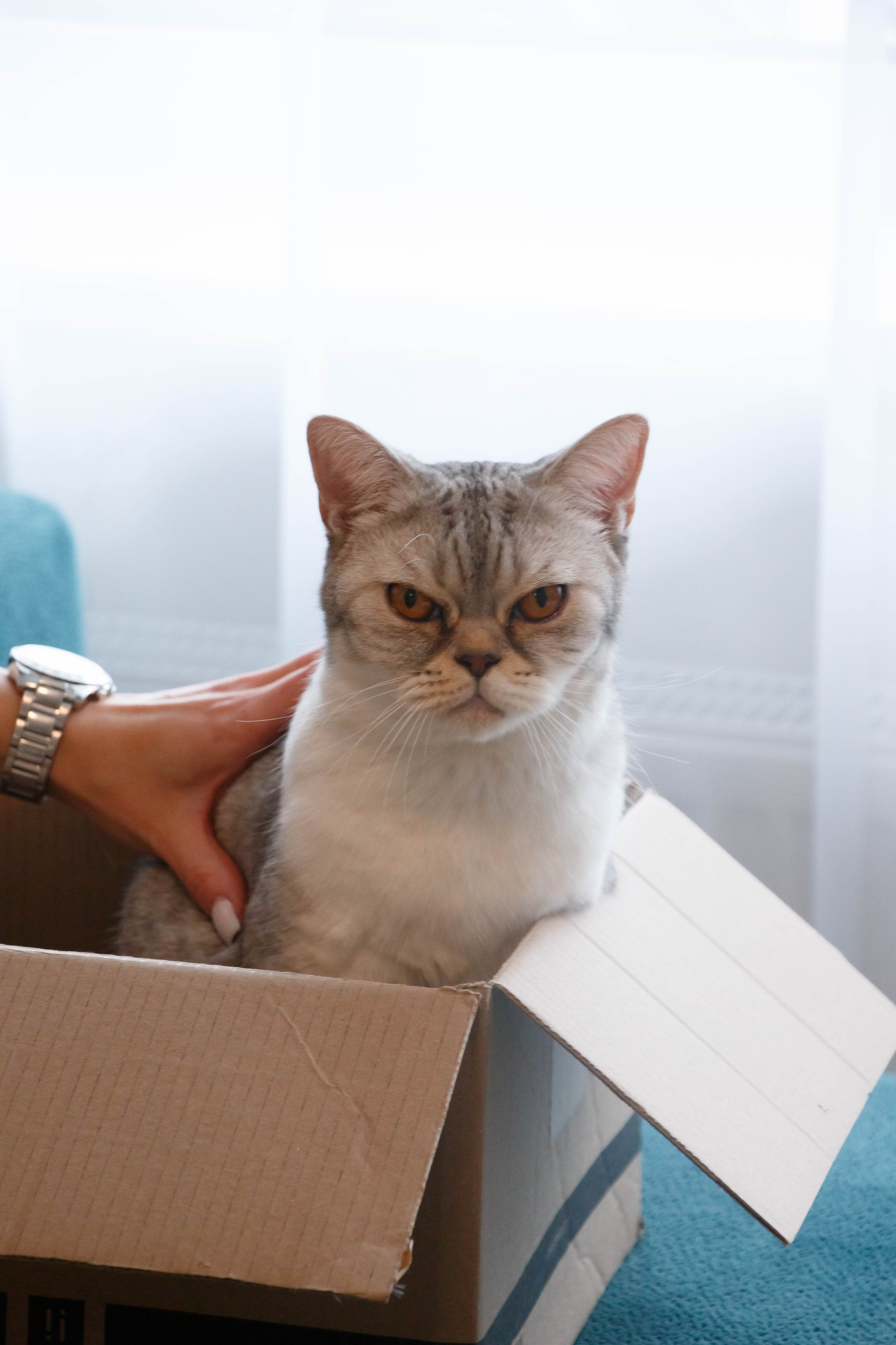 TANYA&NALLA. Бережно сохраняю ваши чувства и истории на своих фотографиях