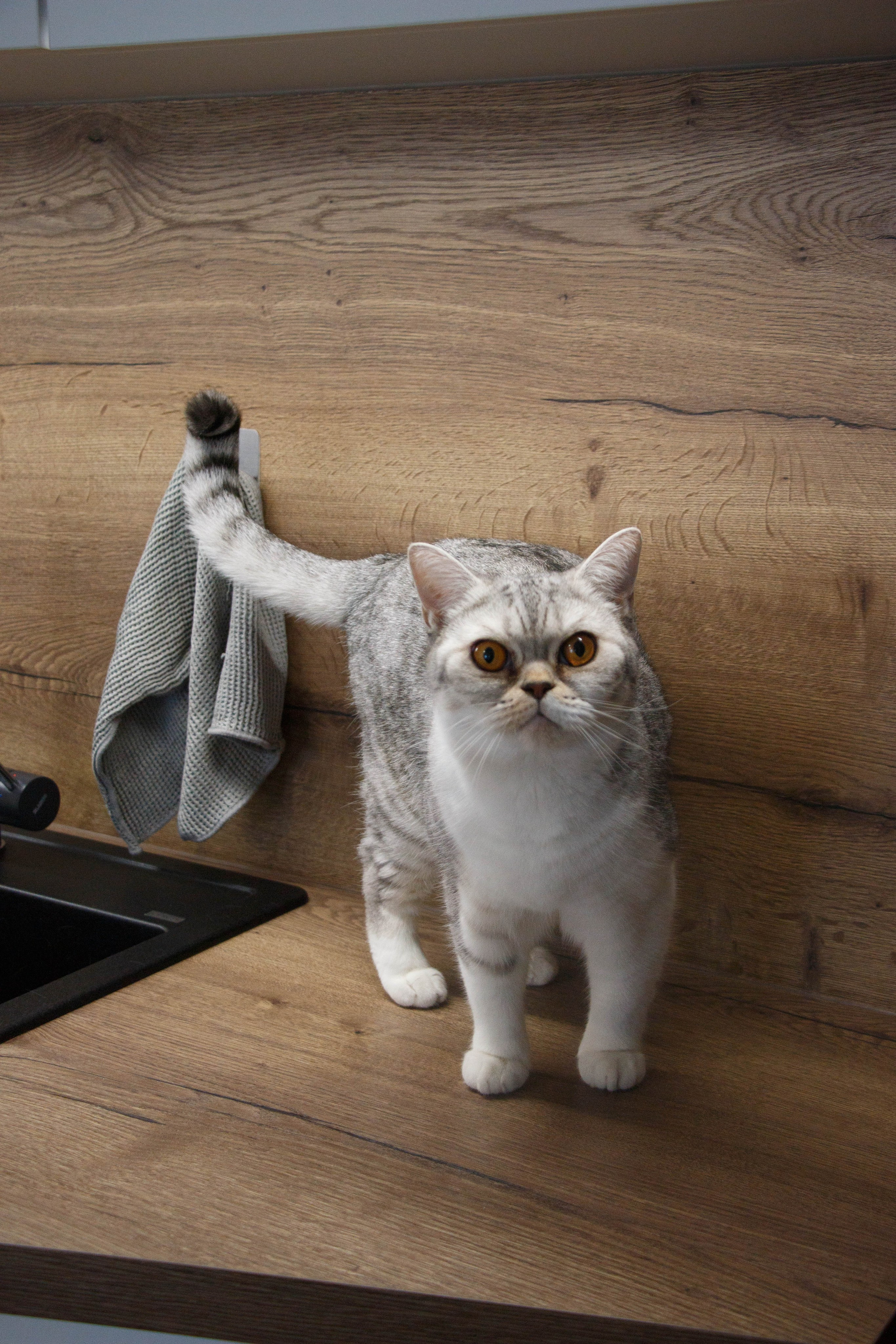 TANYA&NALLA. Бережно сохраняю ваши чувства и истории на своих фотографиях