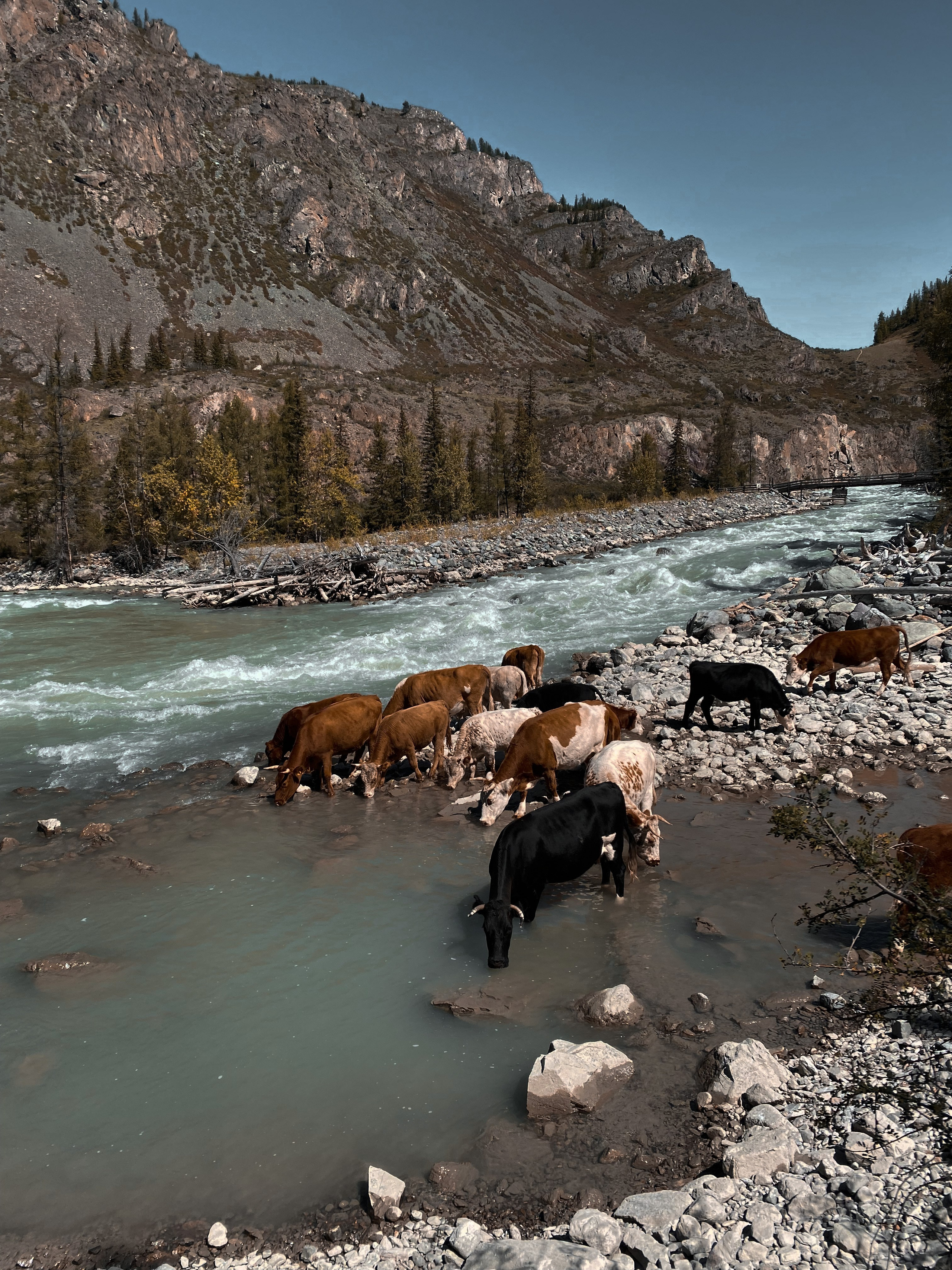 Прайс. Фотограф Красноярск