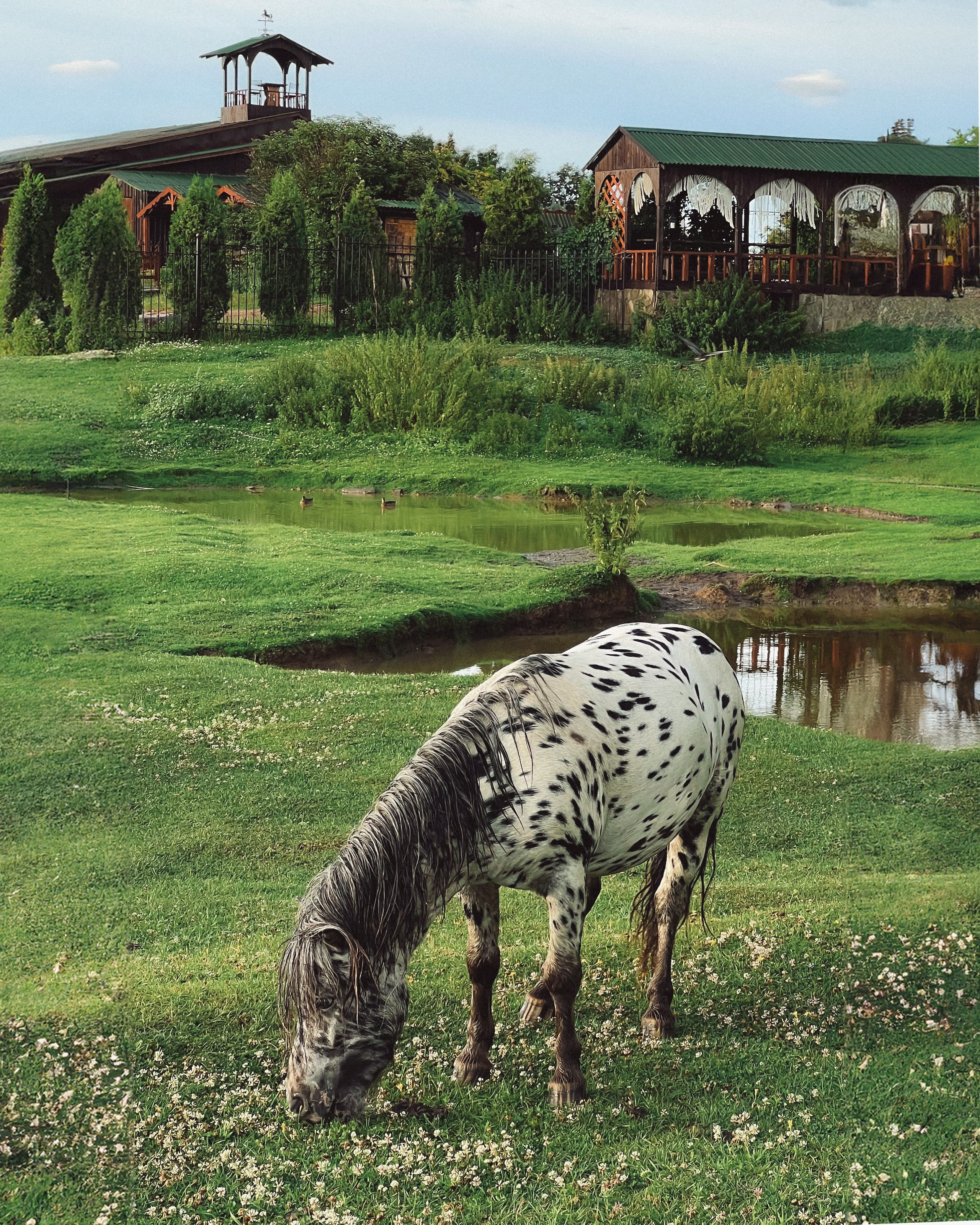 Мой мир. LAMOURCEVA | fashion photographer