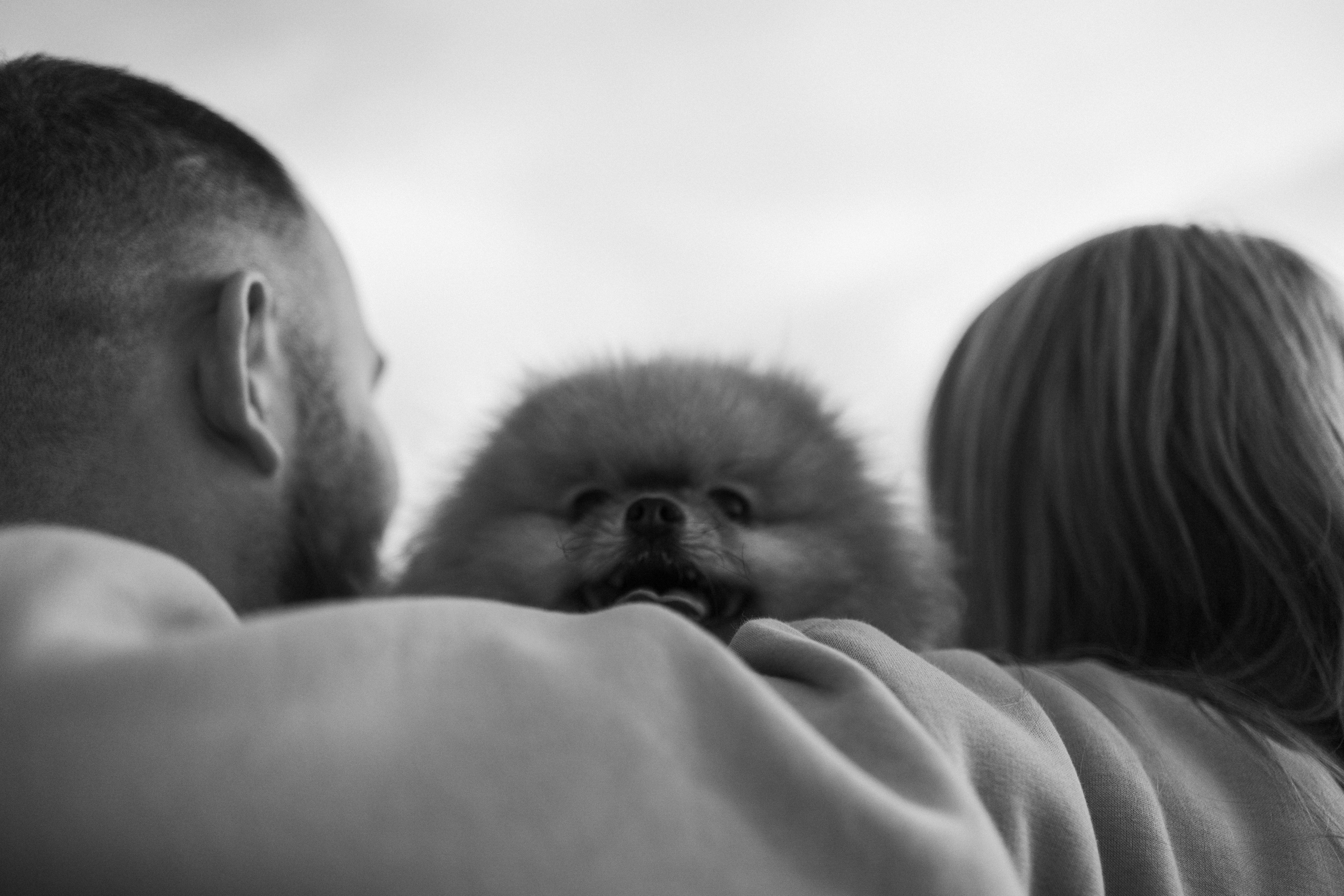 Стив и его семья. Фотограф — Анималист | Санкт-Петербург