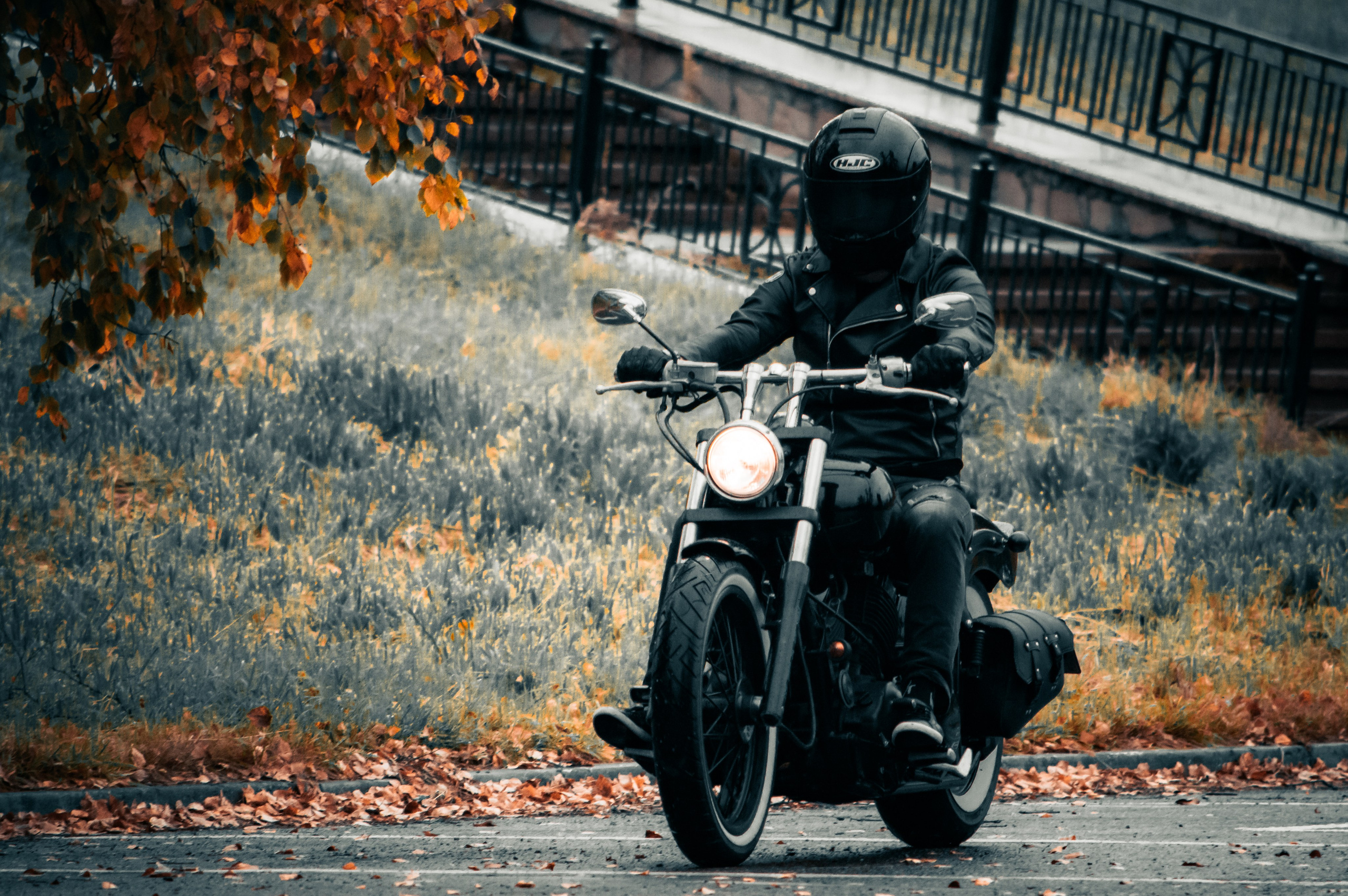 Последние дни осени. G G L V D M T R | Фотограф в Красноярске