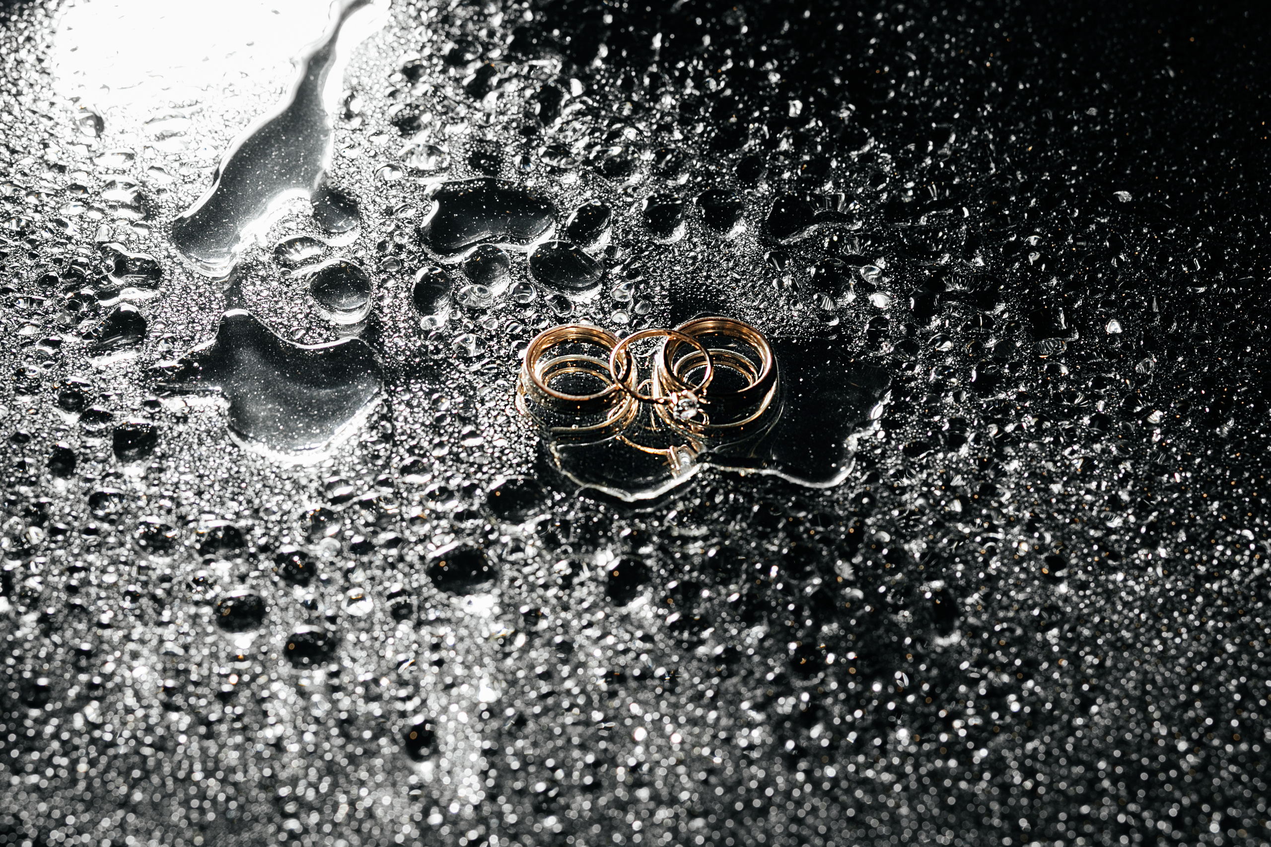 Дима и Лера. Свадебный фотограф Ростове-на-Дону