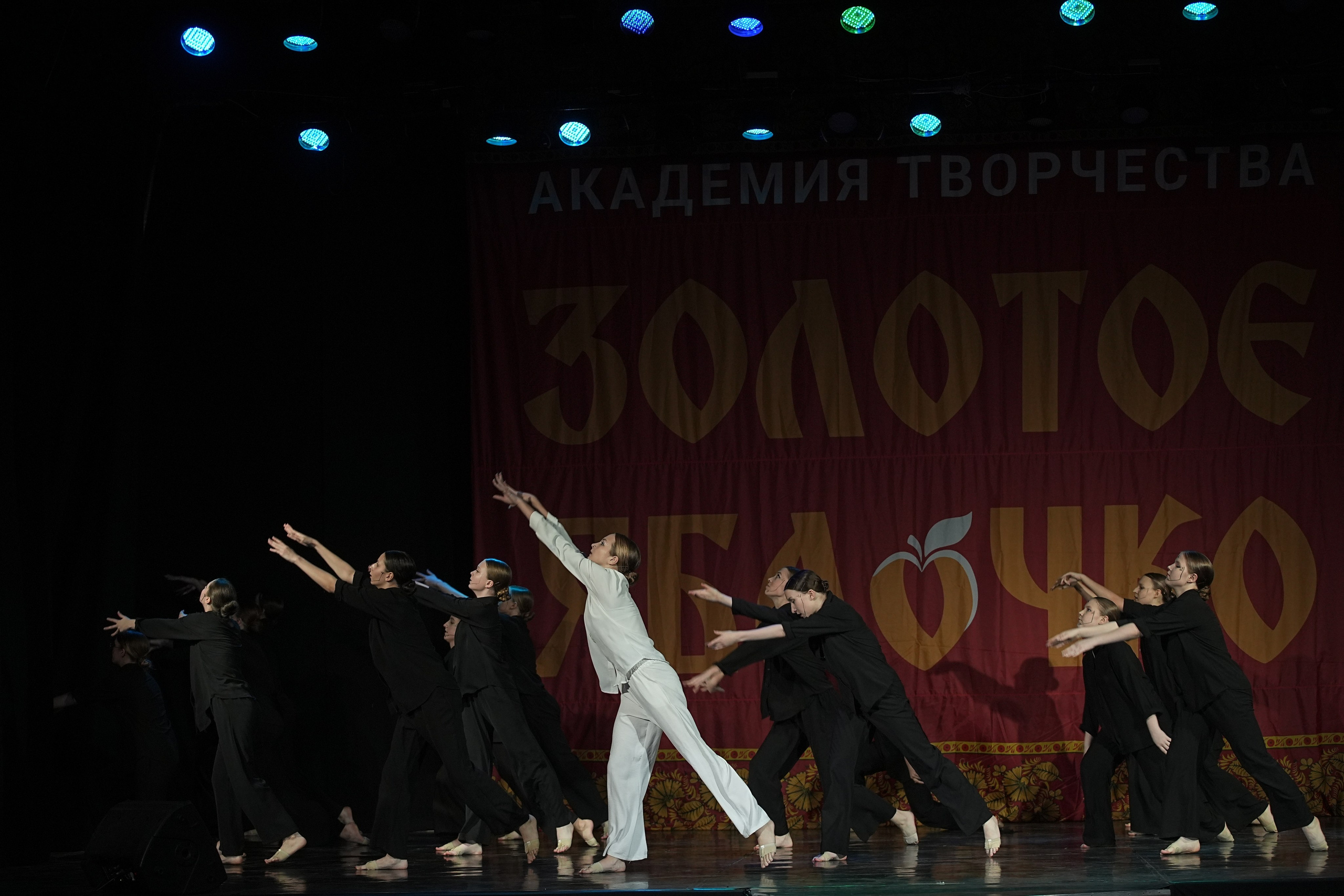 8 декабря, г. Кострома. Золотое яблочко