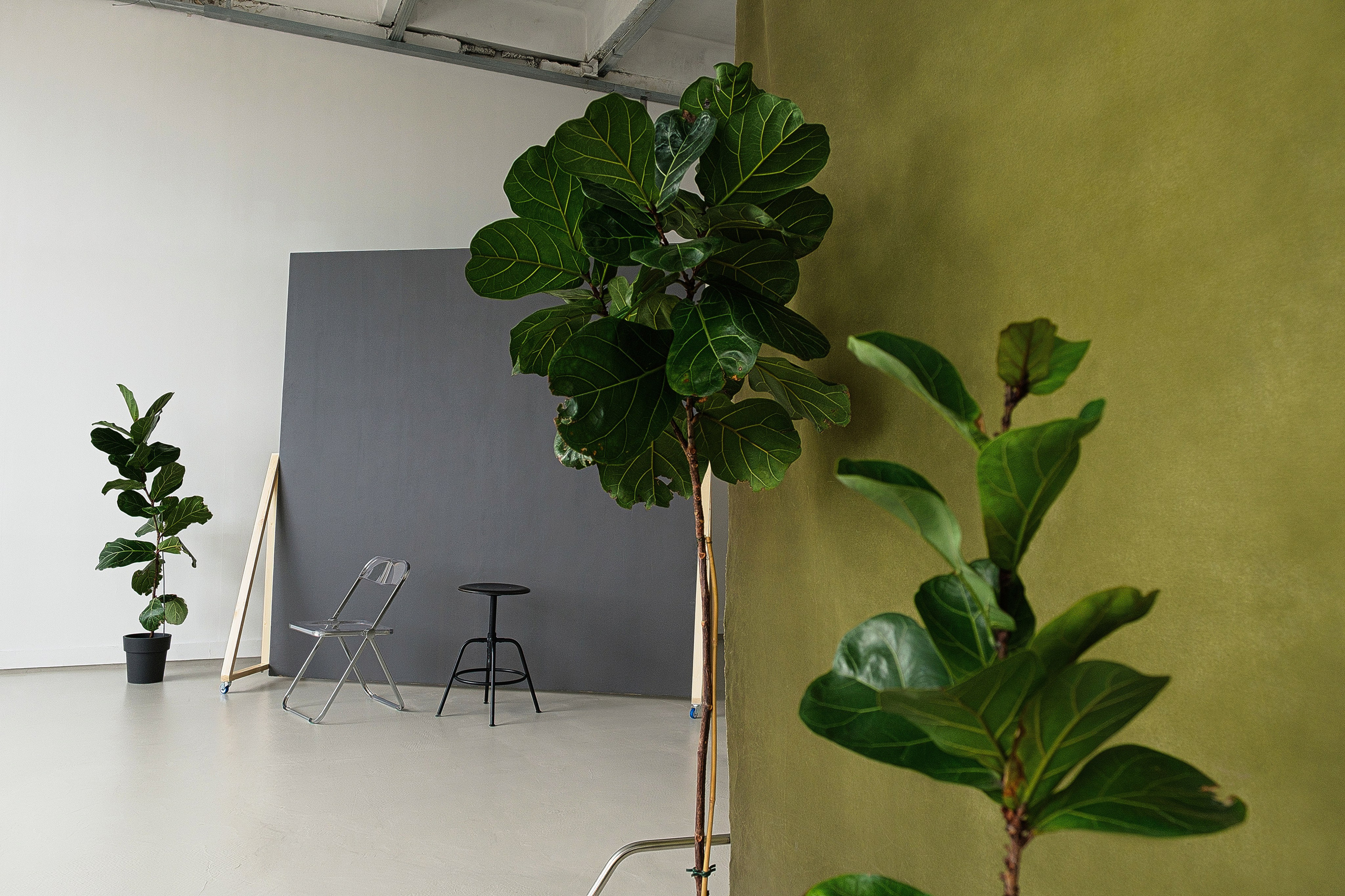 Стильная фотостудия с бетонной стеной. 5loft Фотостудия в Ижевске