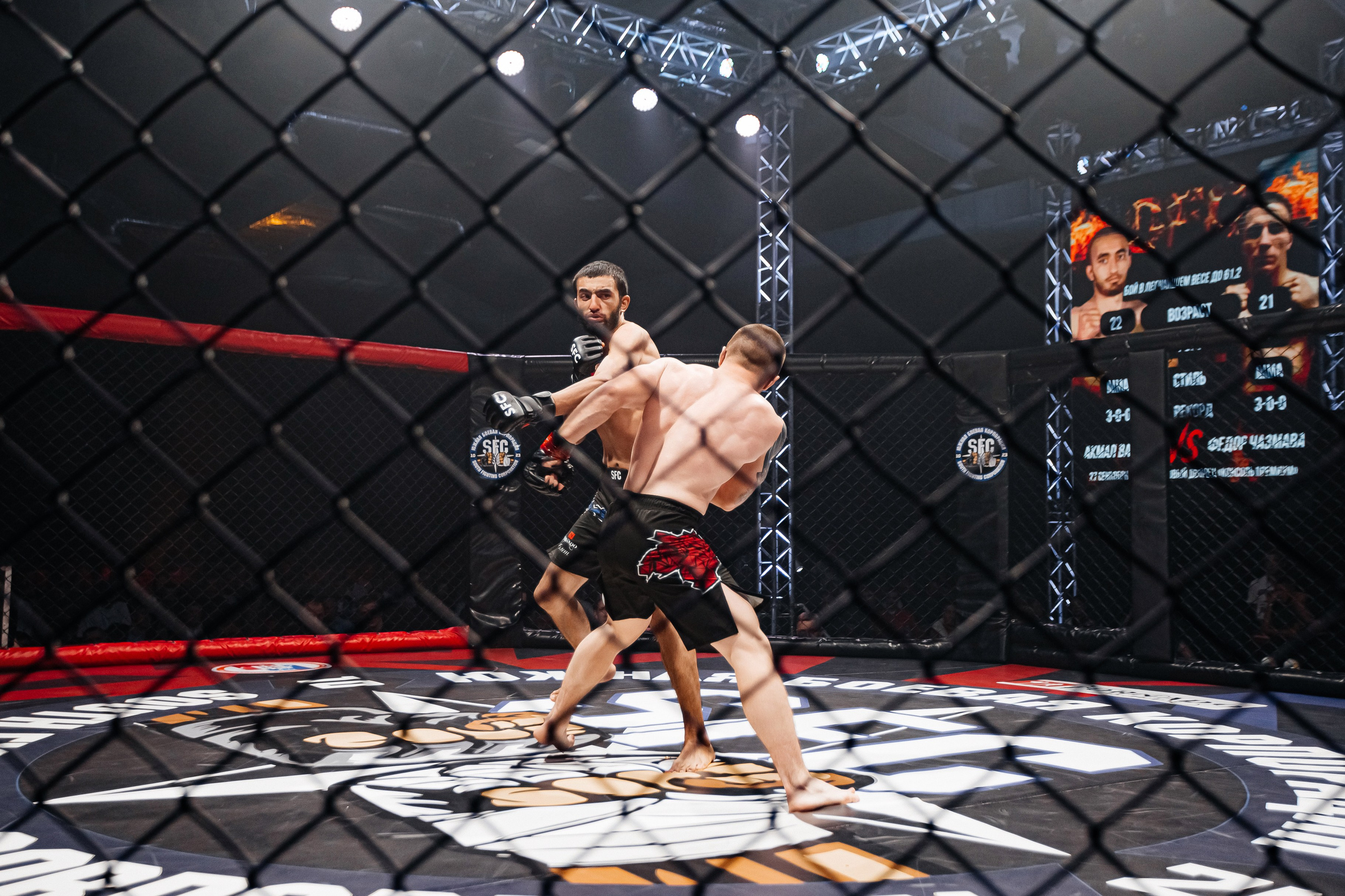 SFC III турнир по боям ММА. Аминов Руслан | Фотограф