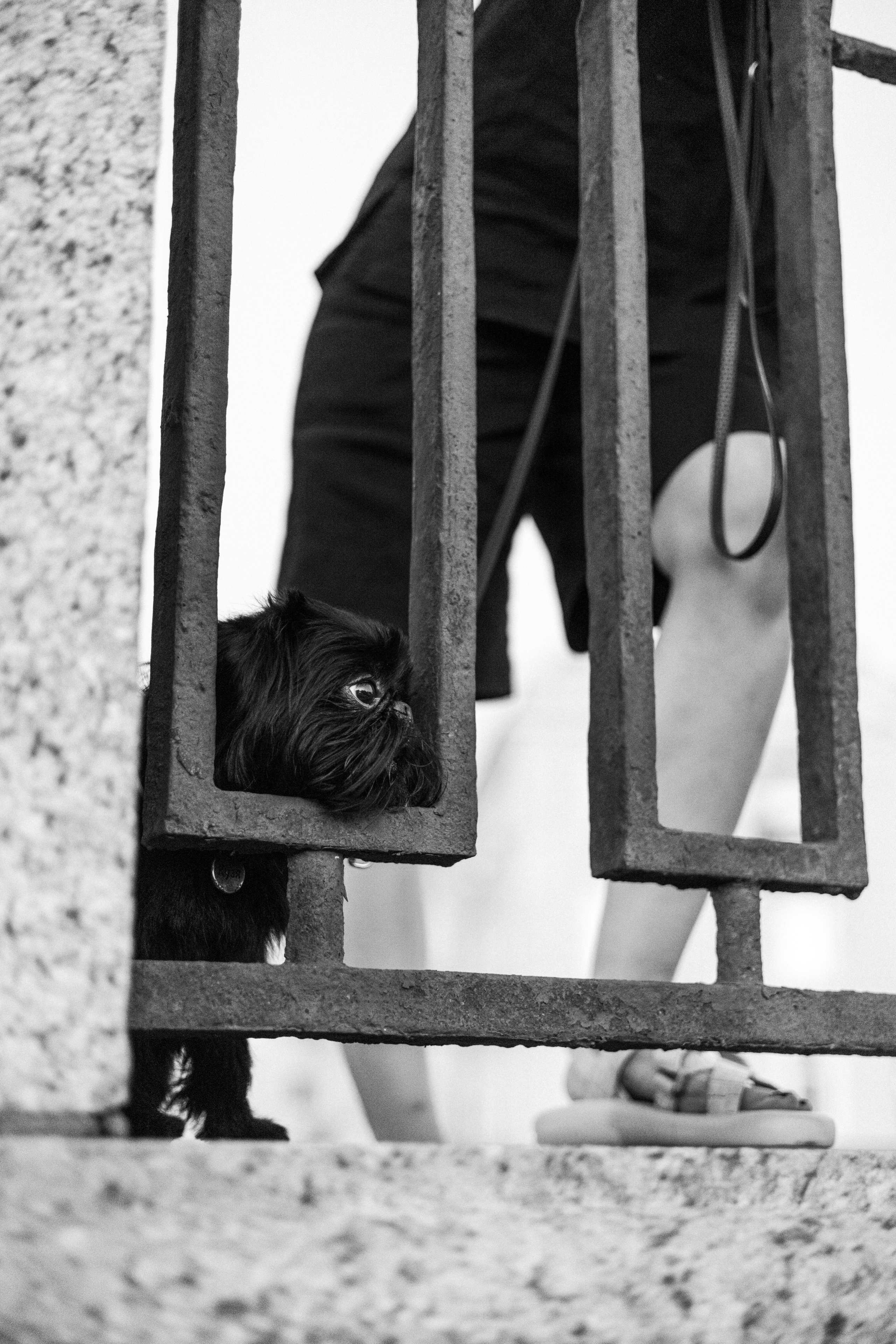 Ася и Кузя. Фотограф анималист Осипчикова Мария