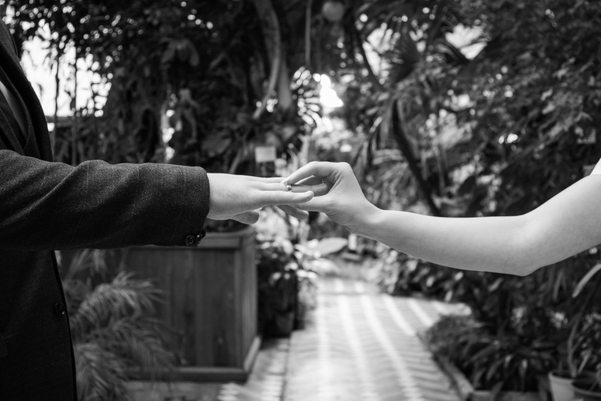 Свадебная фотосессия Томск. Свадебная фотосъёмка Томск. Фотограф в Томске Дарья Пучкина