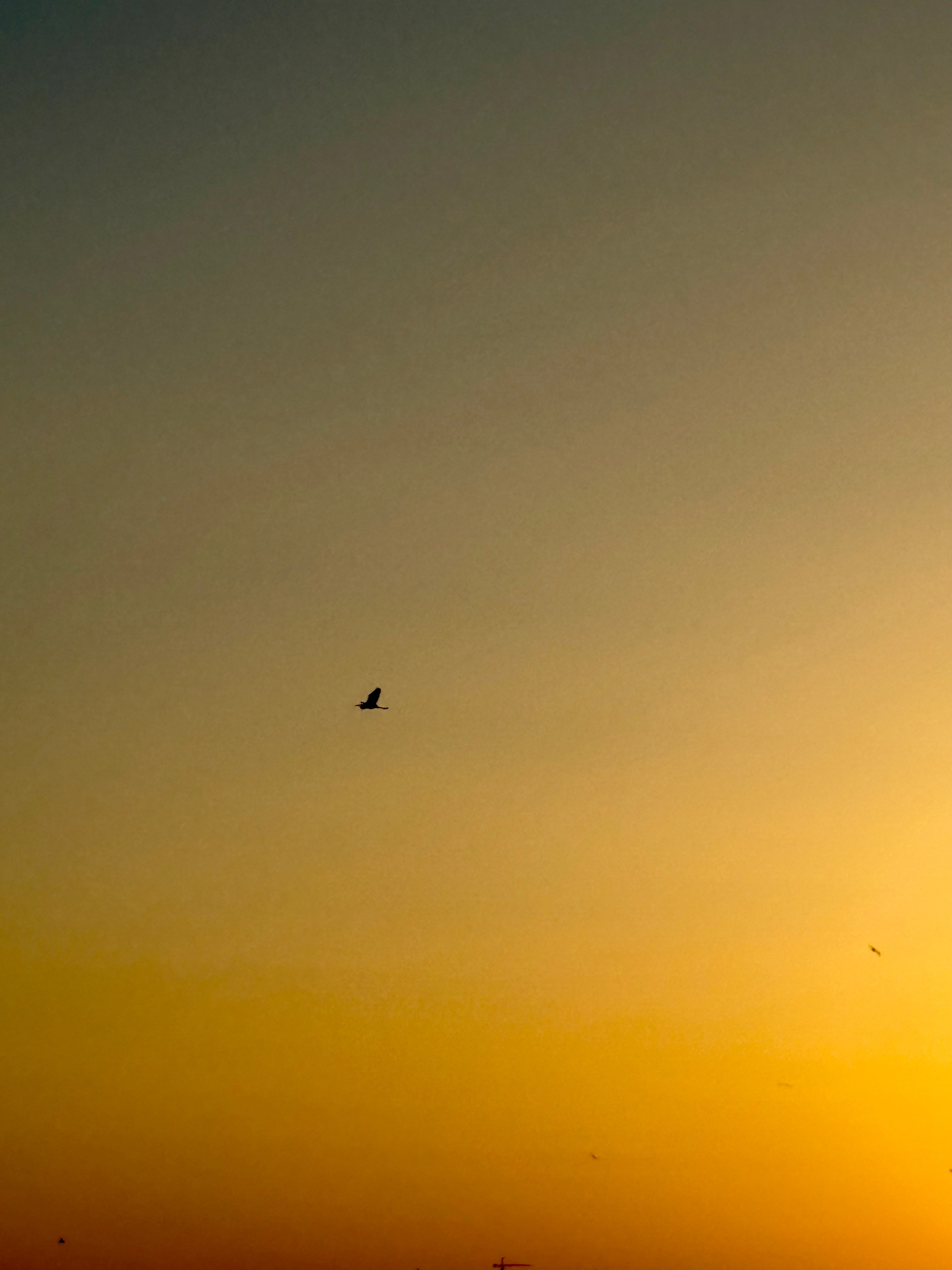 Фотограф Москва. Фотограф и художник в Москве Евгения Нюнина