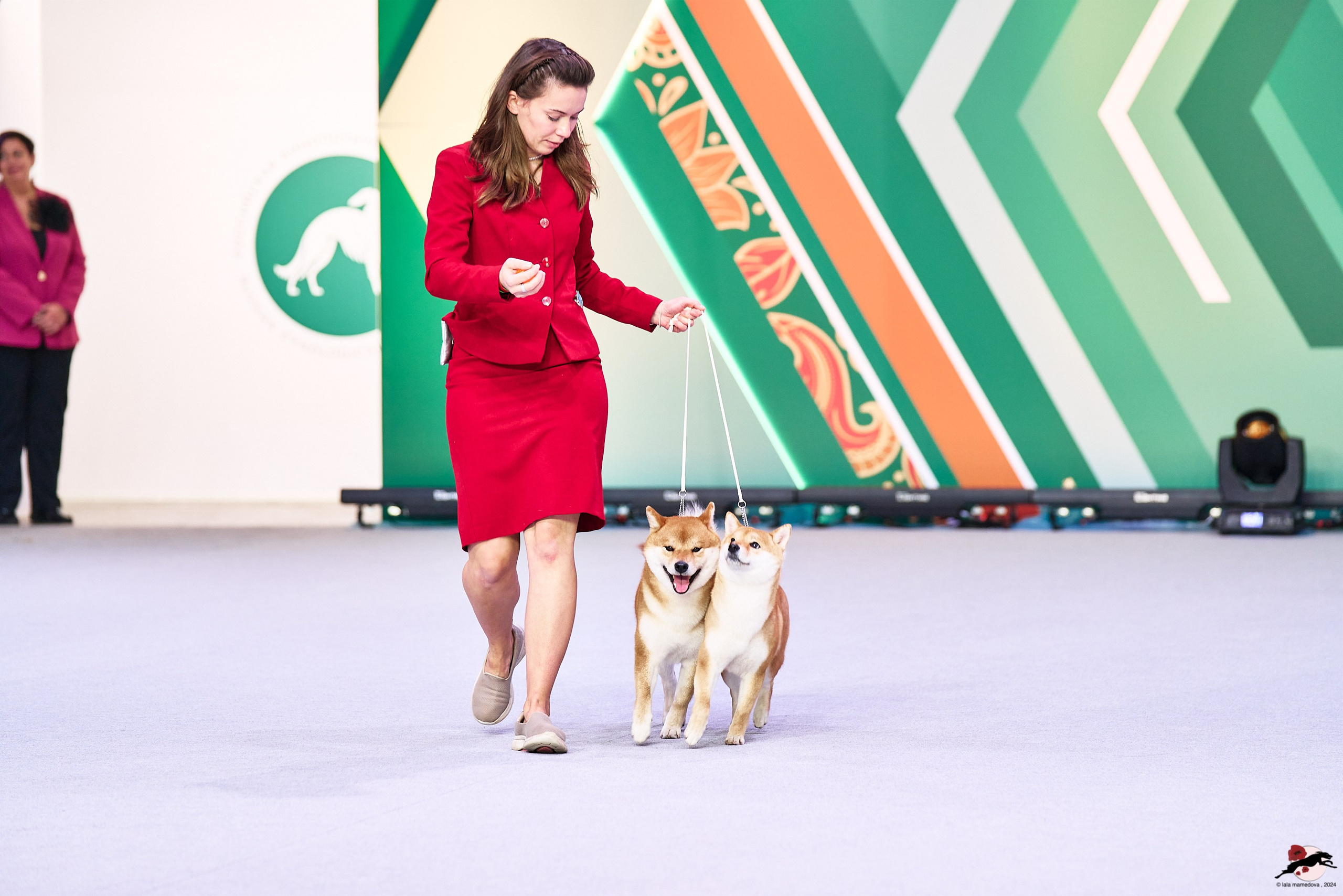 16.11.2024 «ЕВРАЗИЯ. КУБОК ПРЕЗИДЕНТА РКФ 2024»