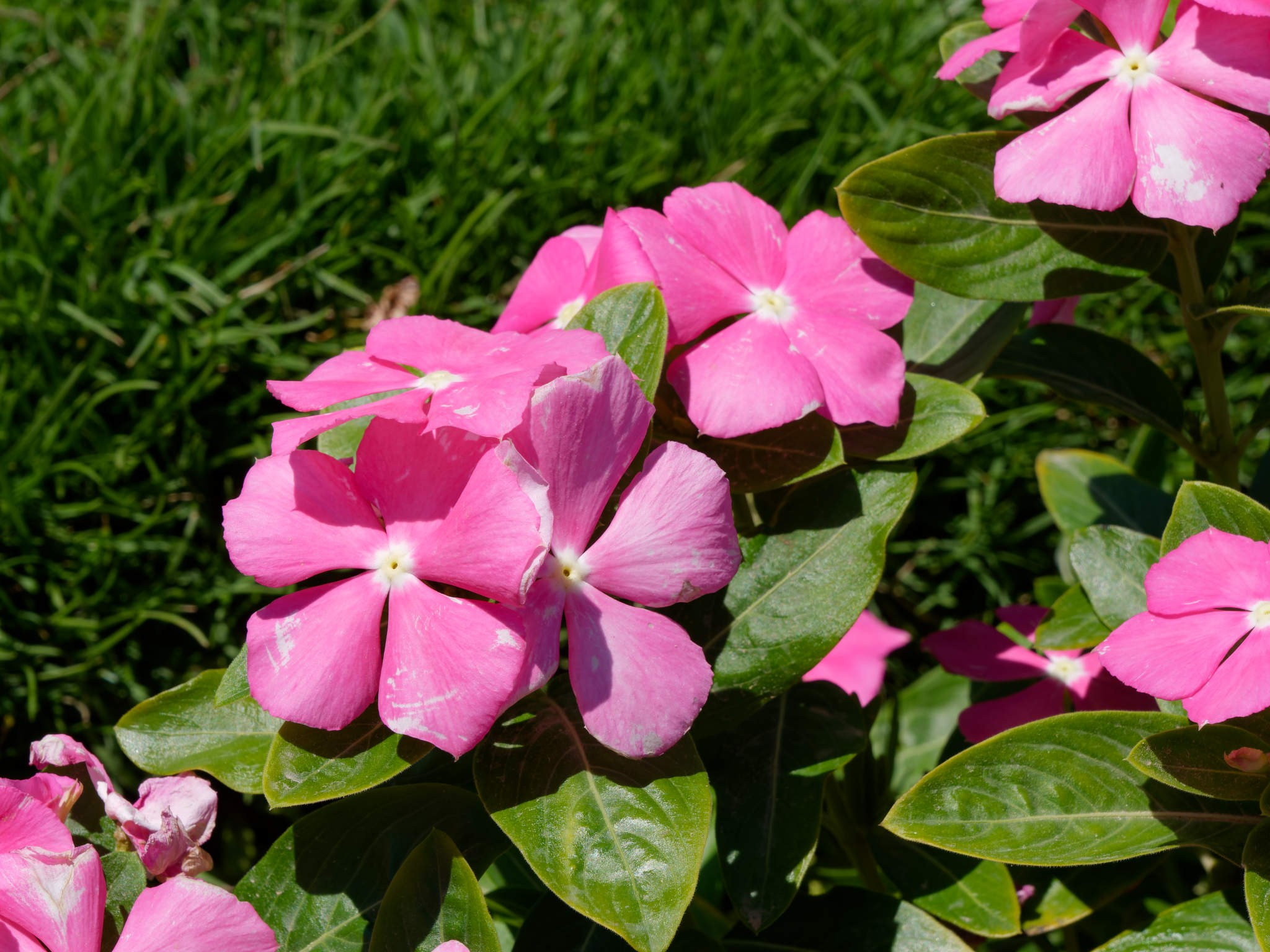 Шарм-эль-Шейх 2024. Избранные фотографии