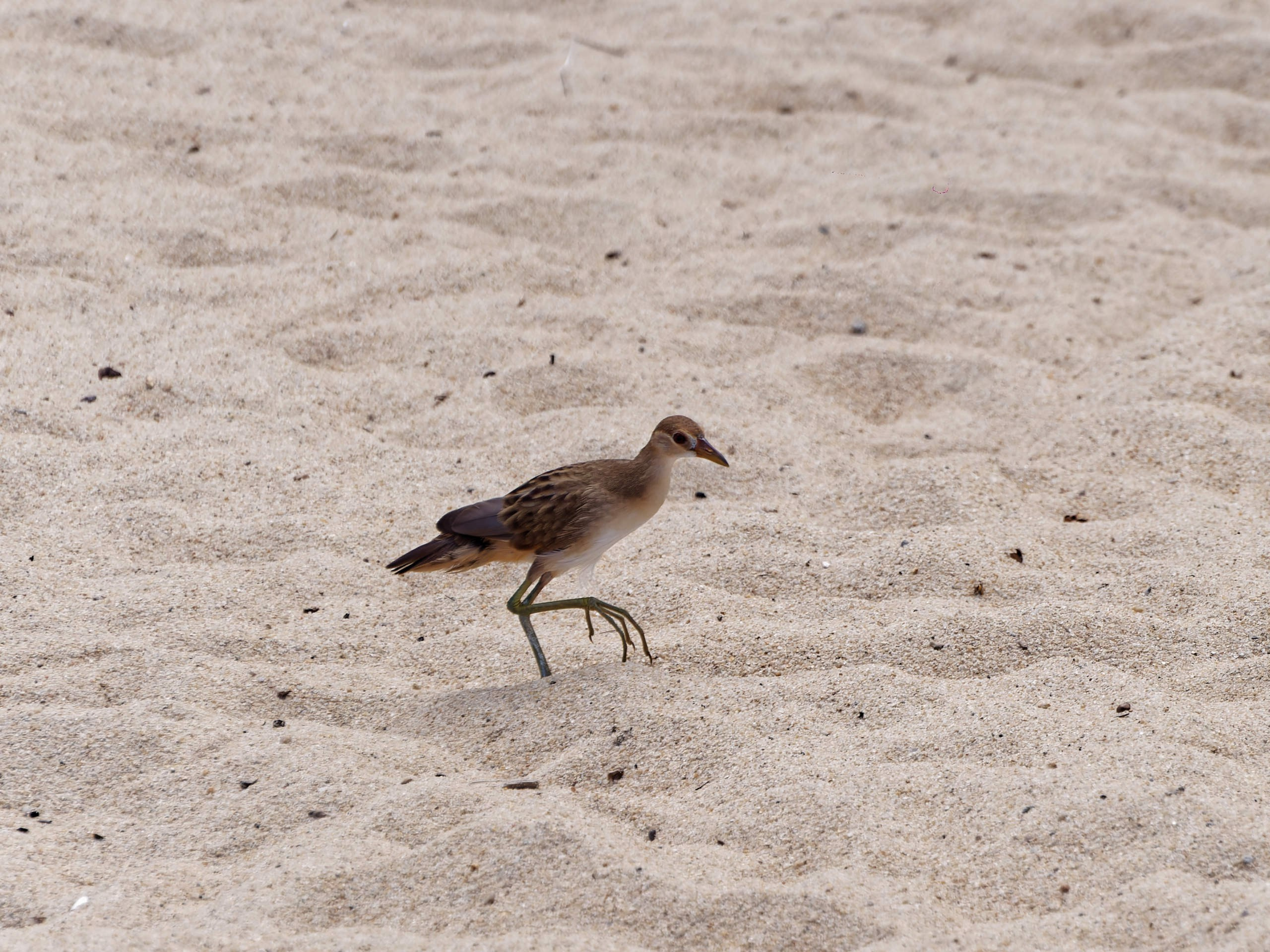 Нячанг 2023. Избранные фотографии