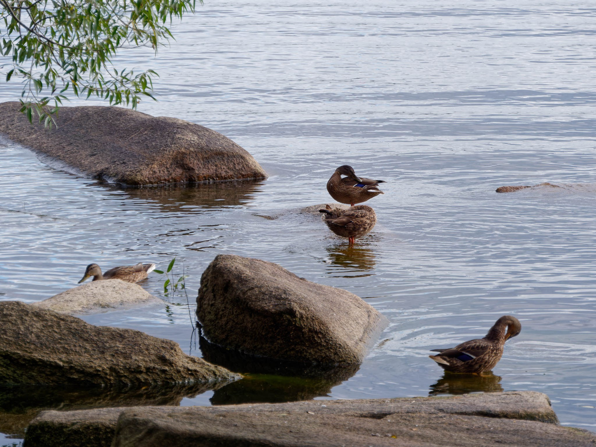 Боровое 2024 (из архива). Избранные фотографии