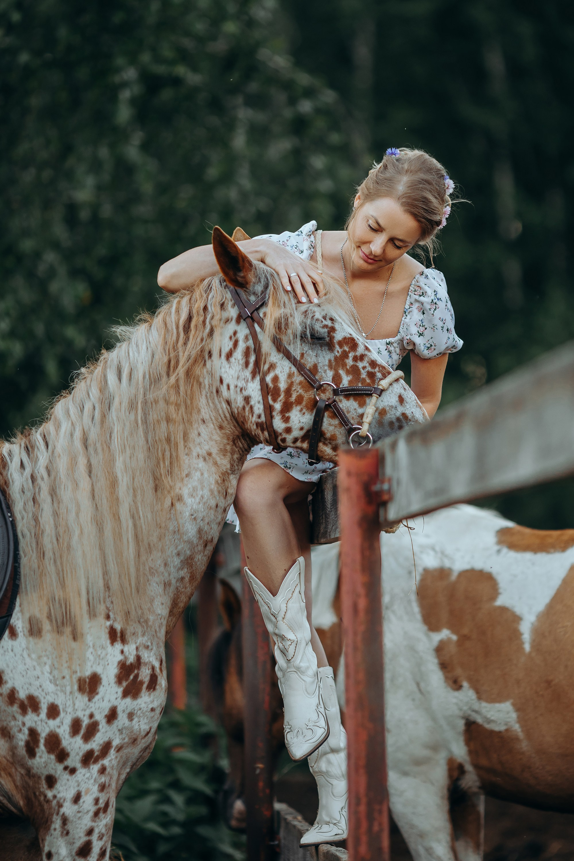 Пятнистая история. Анна Молчанова конный фотограф в Тюмени | фотосессии с лошадьми Тюмень