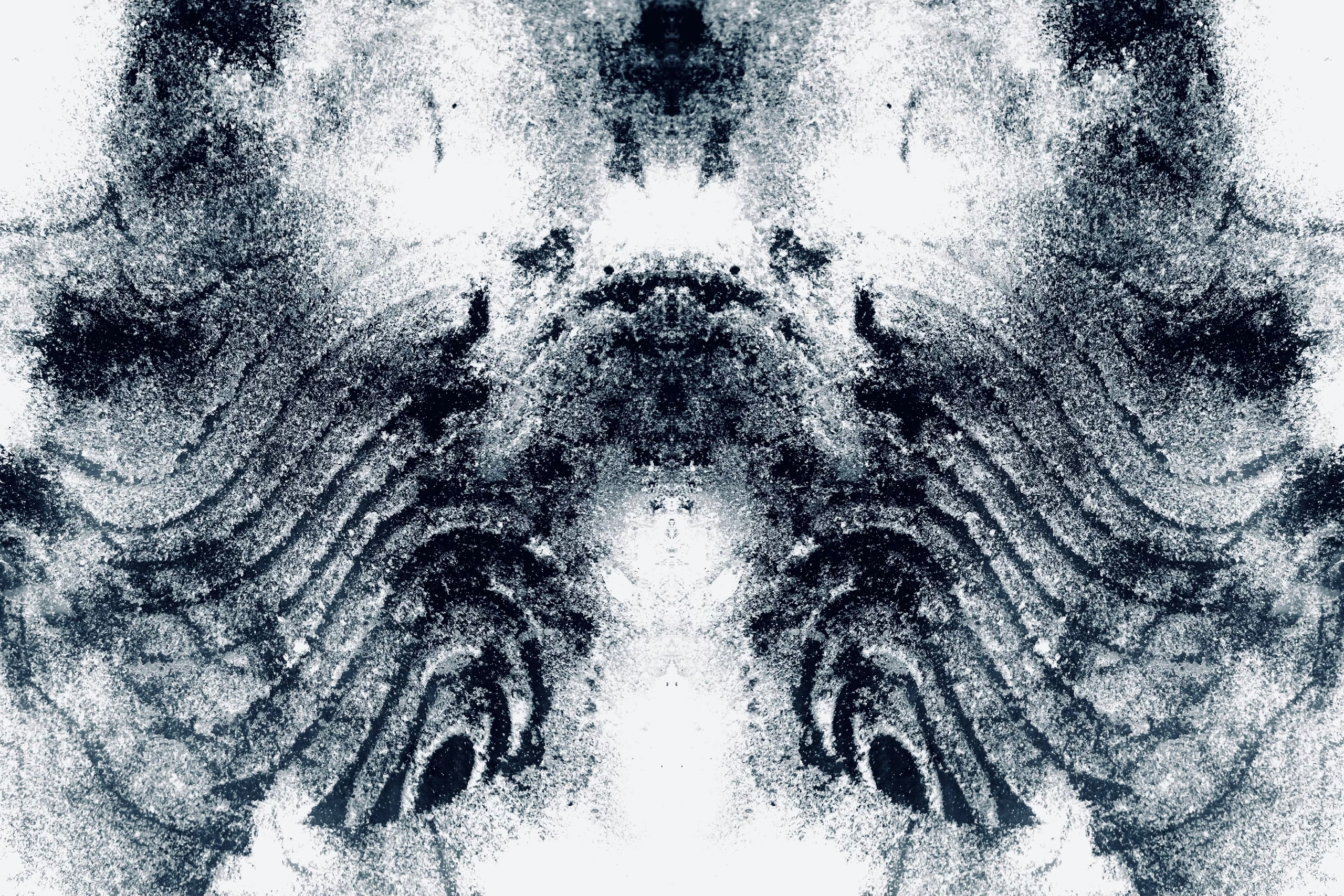 Urban flowers. Арт — фотограф Евгений Наймушин Новокузнецк