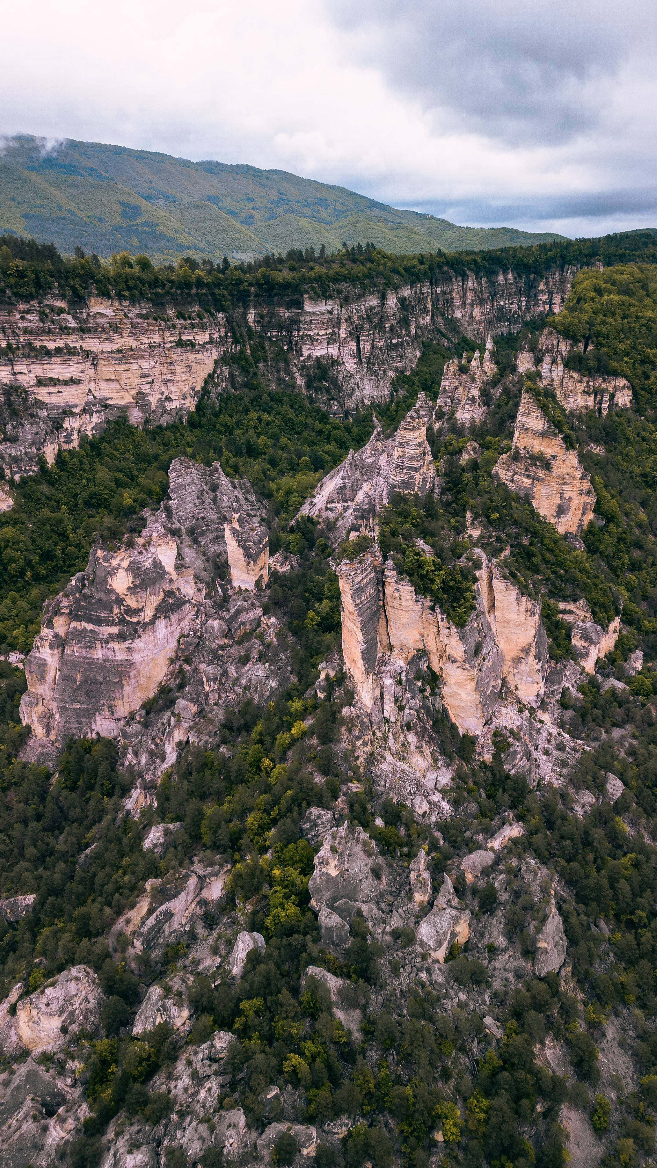 Грузия 2023. Человек с фотокамерой