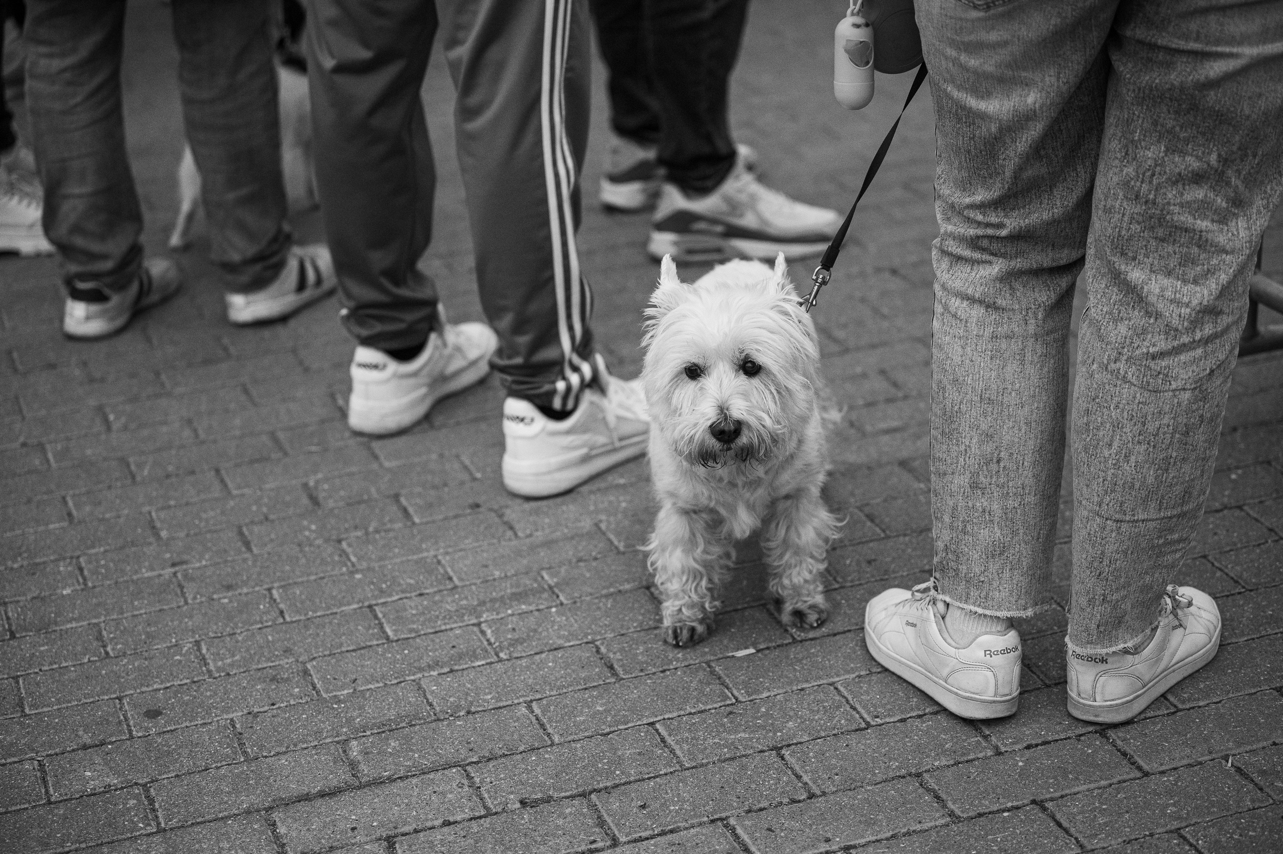 Reportage. Фотограф в Москве Анна Чистякова