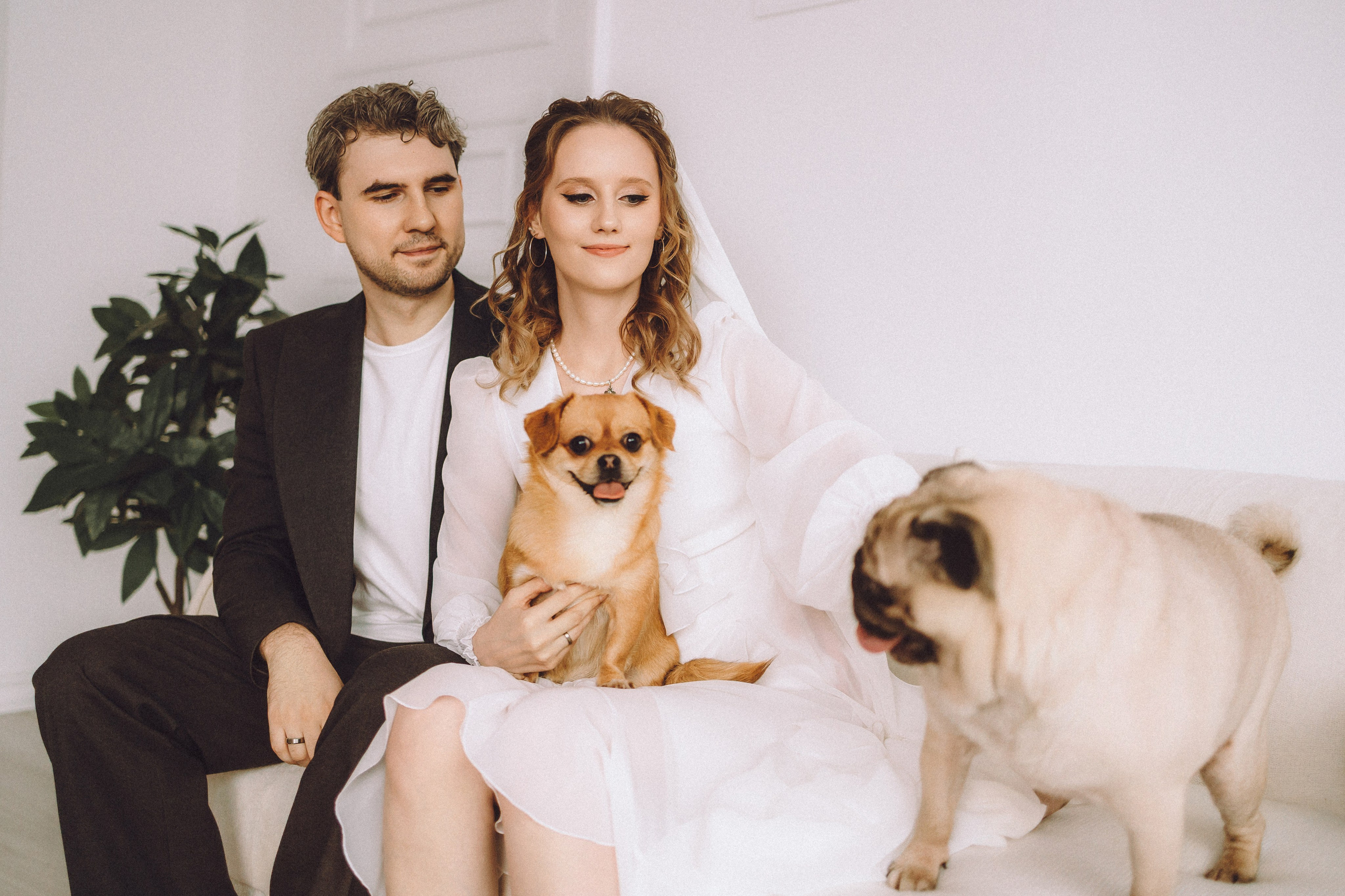 Денис, Василина, Гаврюша и Кнопка