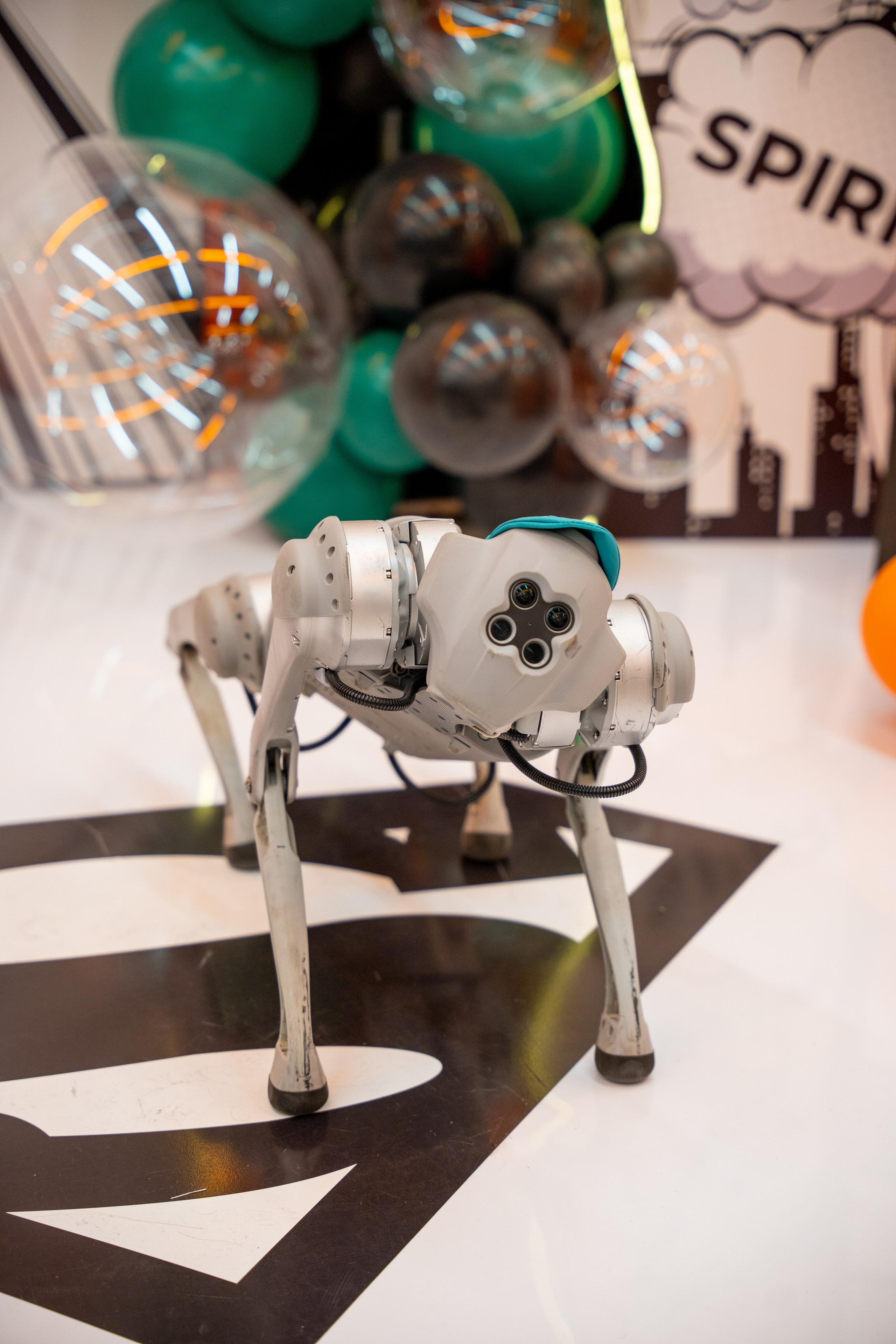 ОТКРЫТИЕ ФИТНЕС-ЦЕНТРА. Фотограф на любое мероприятие