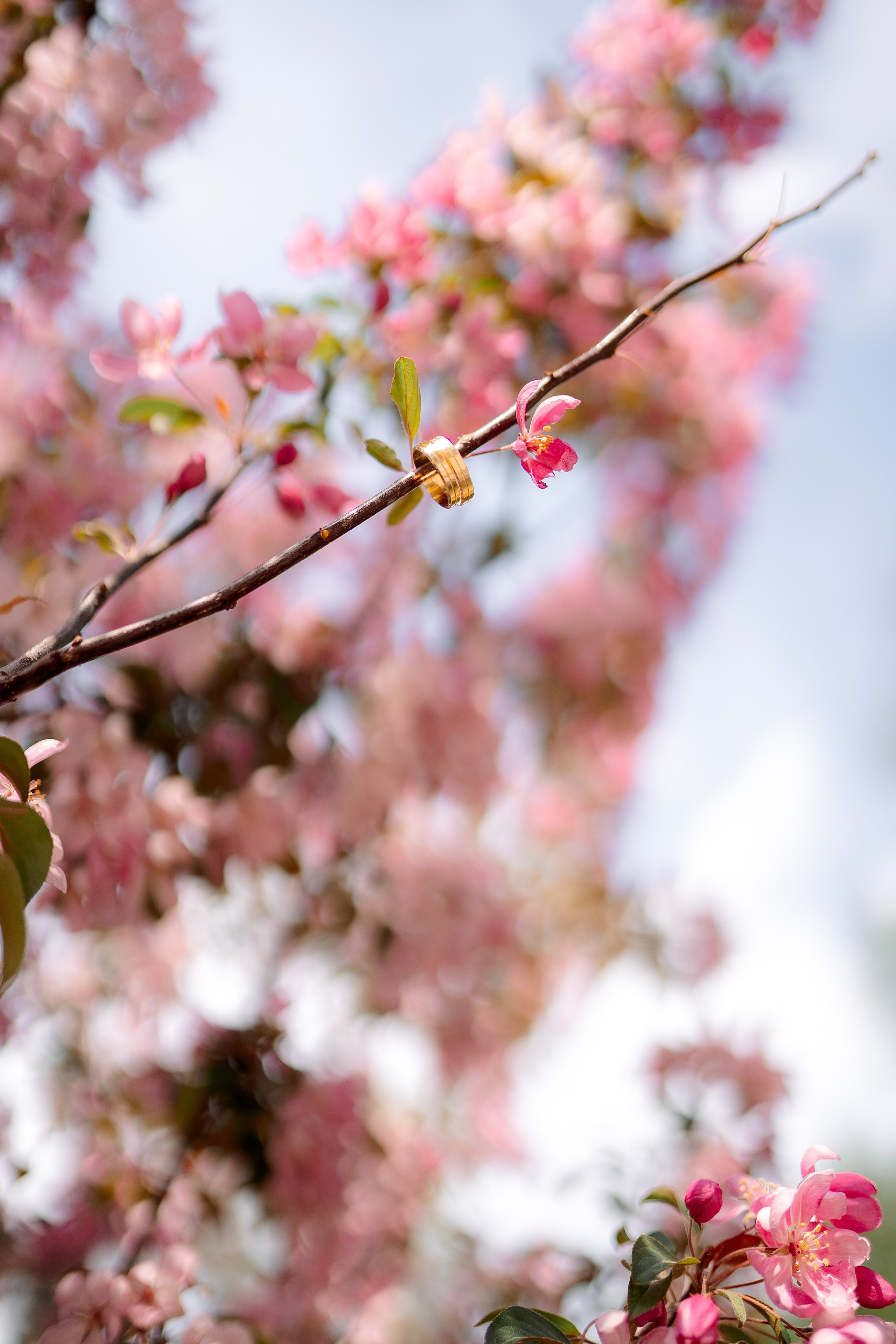 Парк. Фотограф Мария Зайчик