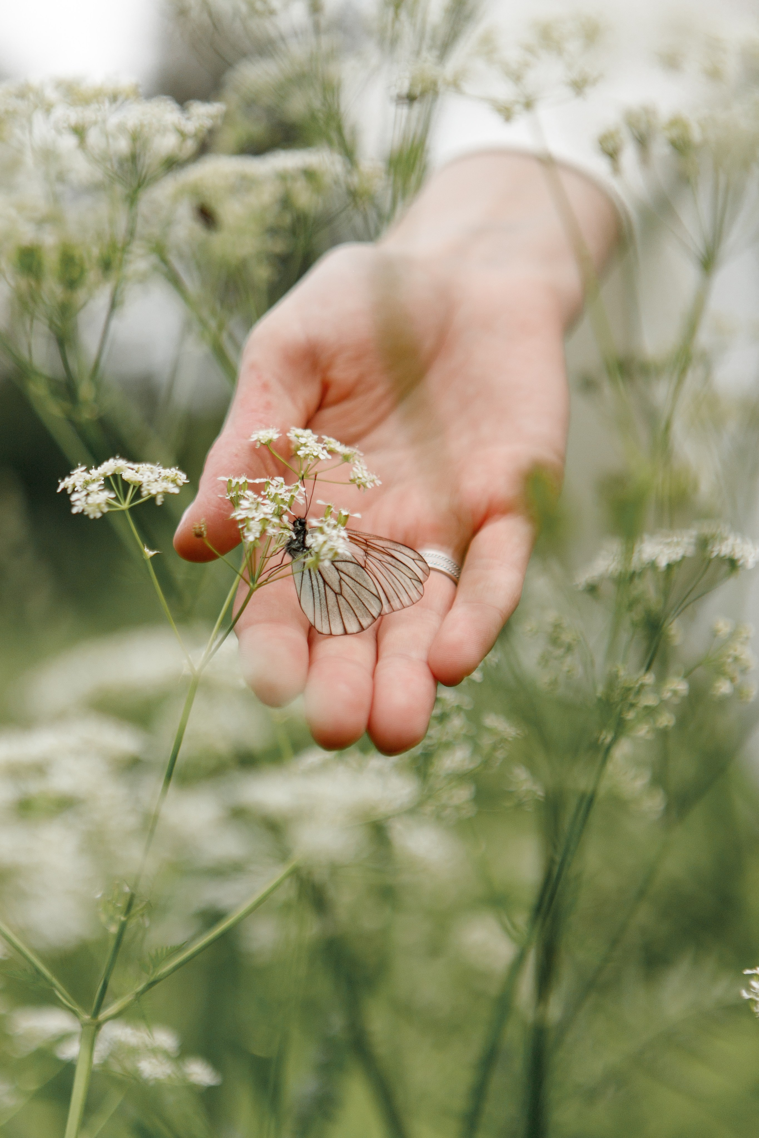 Екатерина. Фотограф Анастасия Кулешова