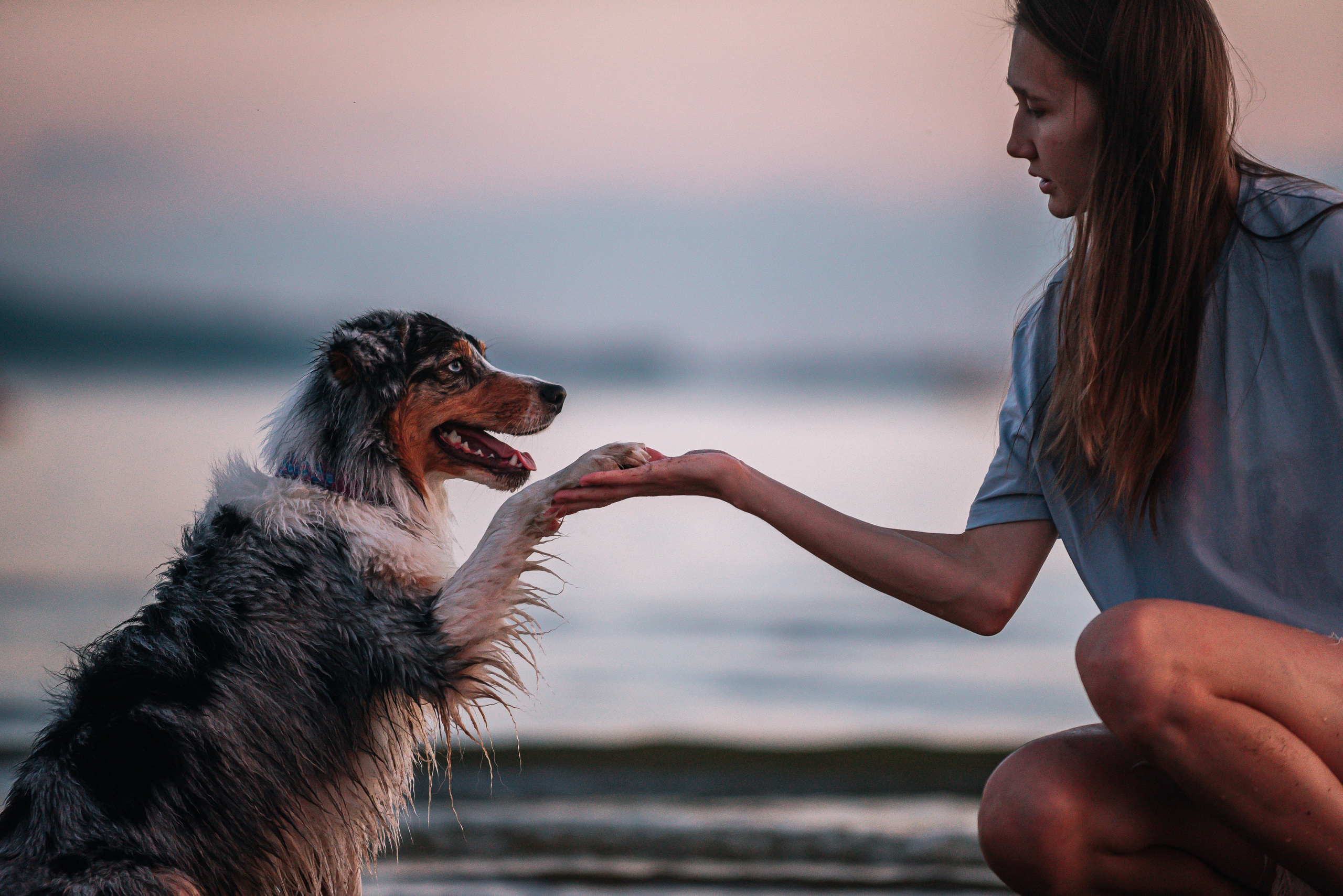 No Bad Days. Главная