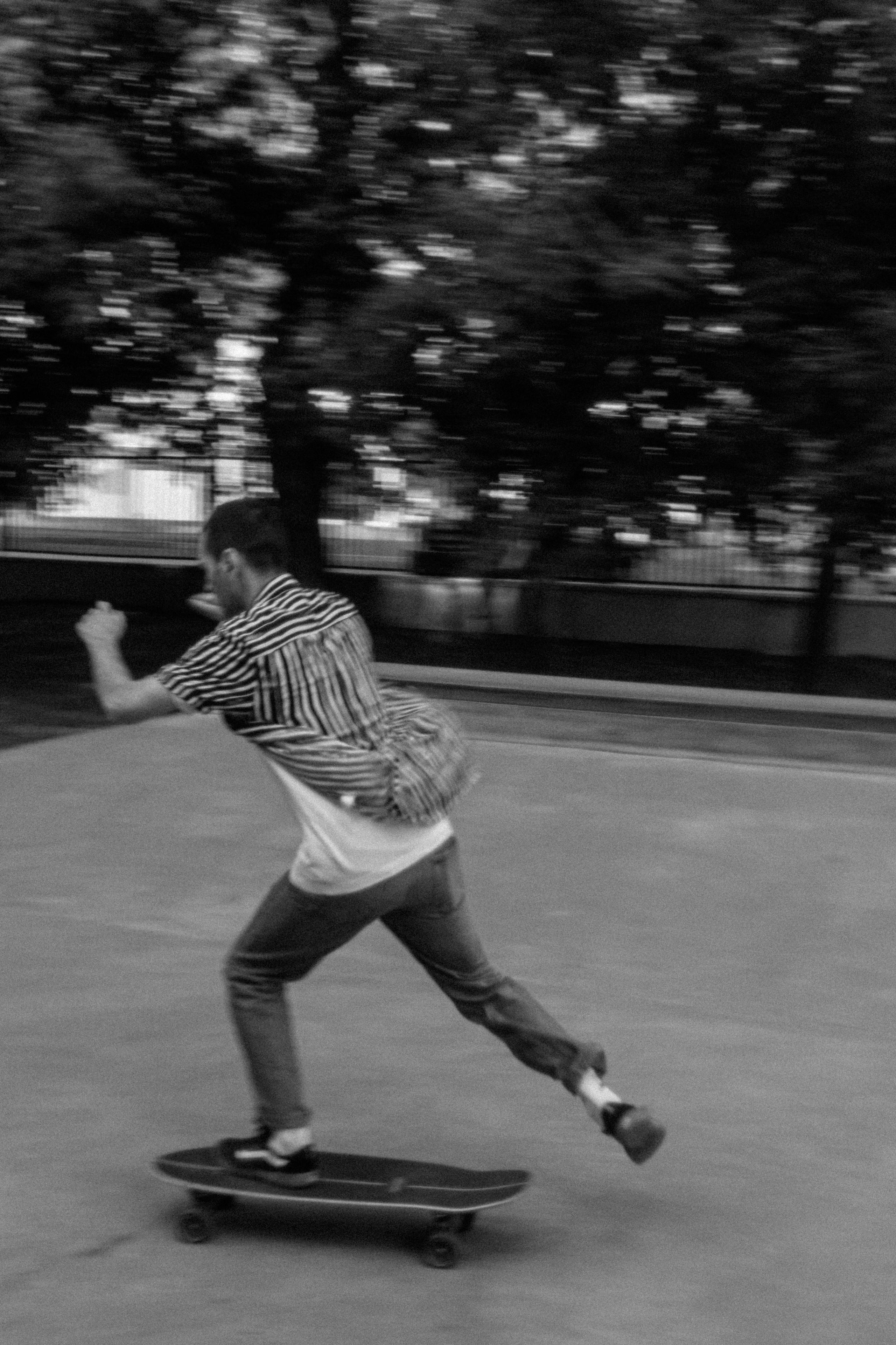 Брюс, Вейв и их ро. Фотораф — анималист Мария Шистка