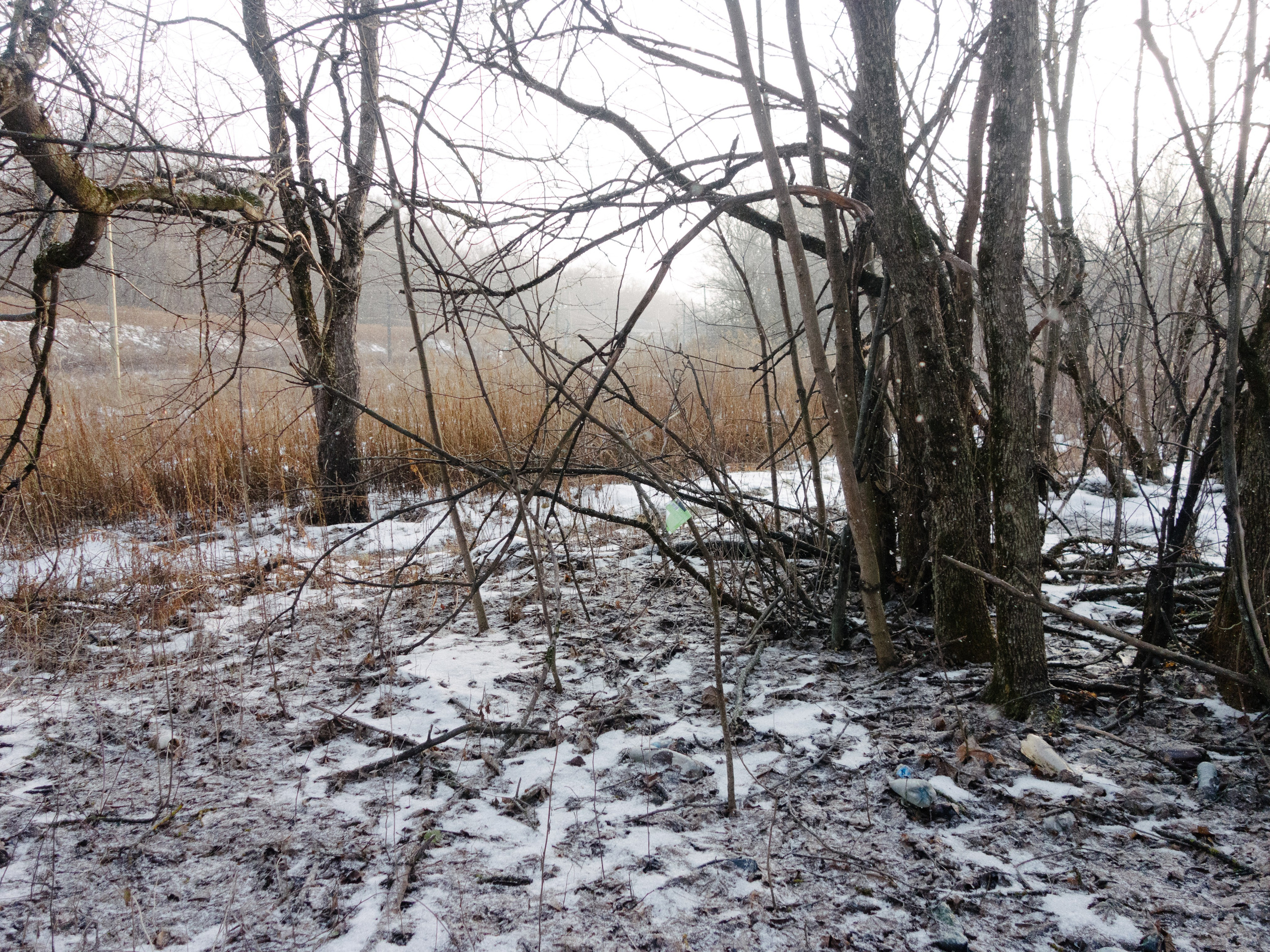 Косая гора. Pavel Basin