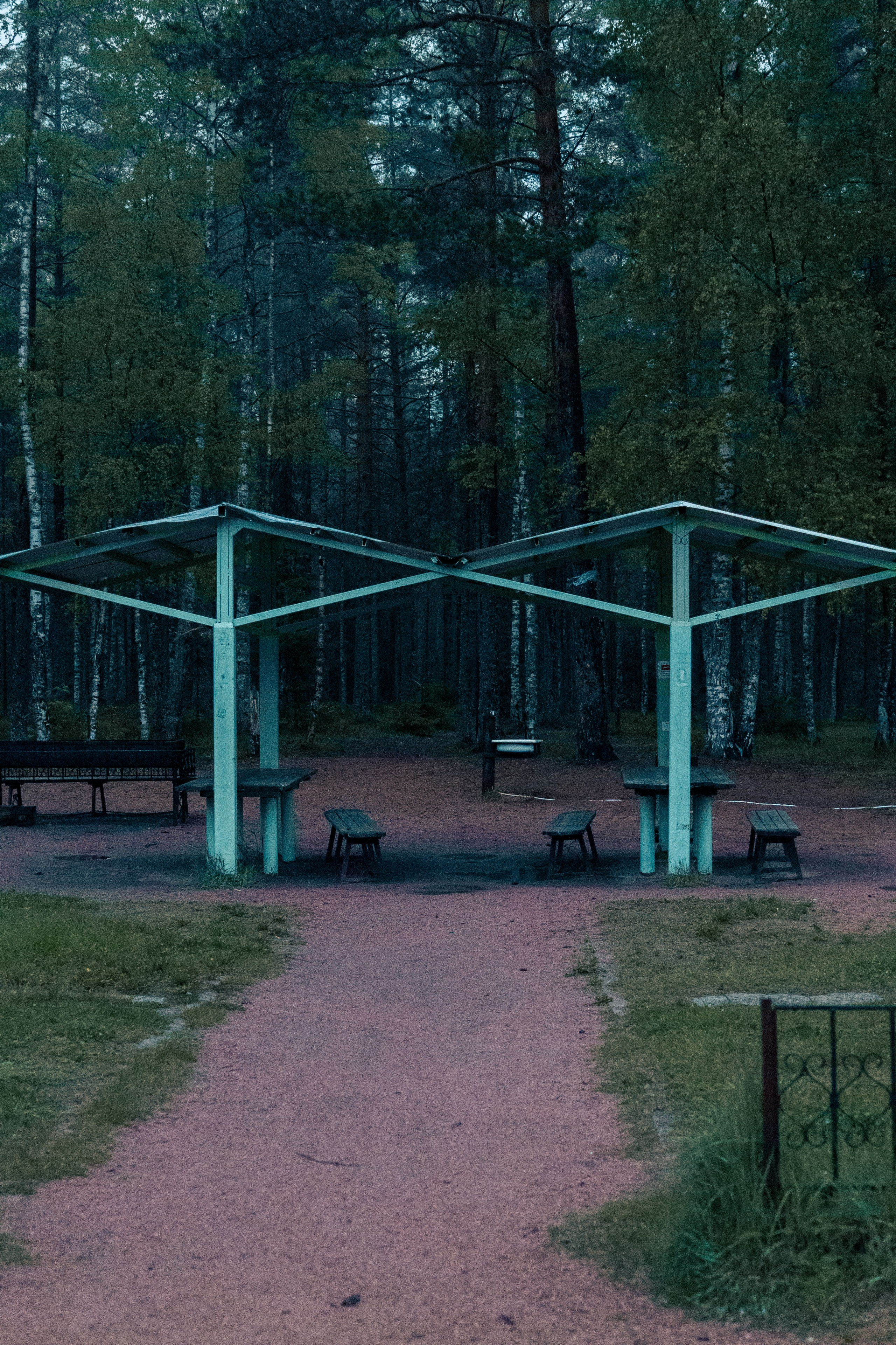 Природа. Фотограф в Санкт-Петербурге Ибрагимова Алина