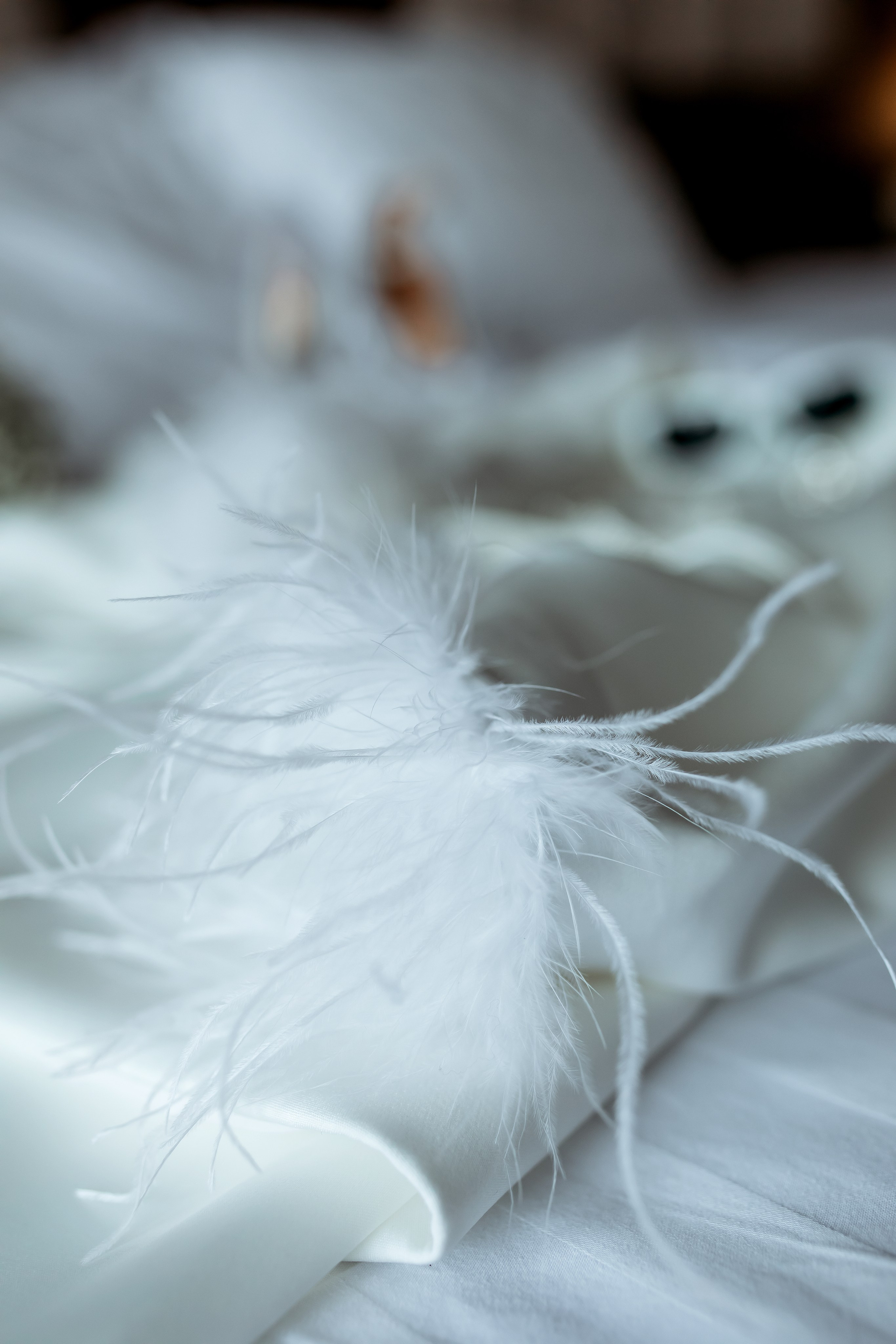 Дмитрий & Татьяна. Ксения Федорова — фотограф