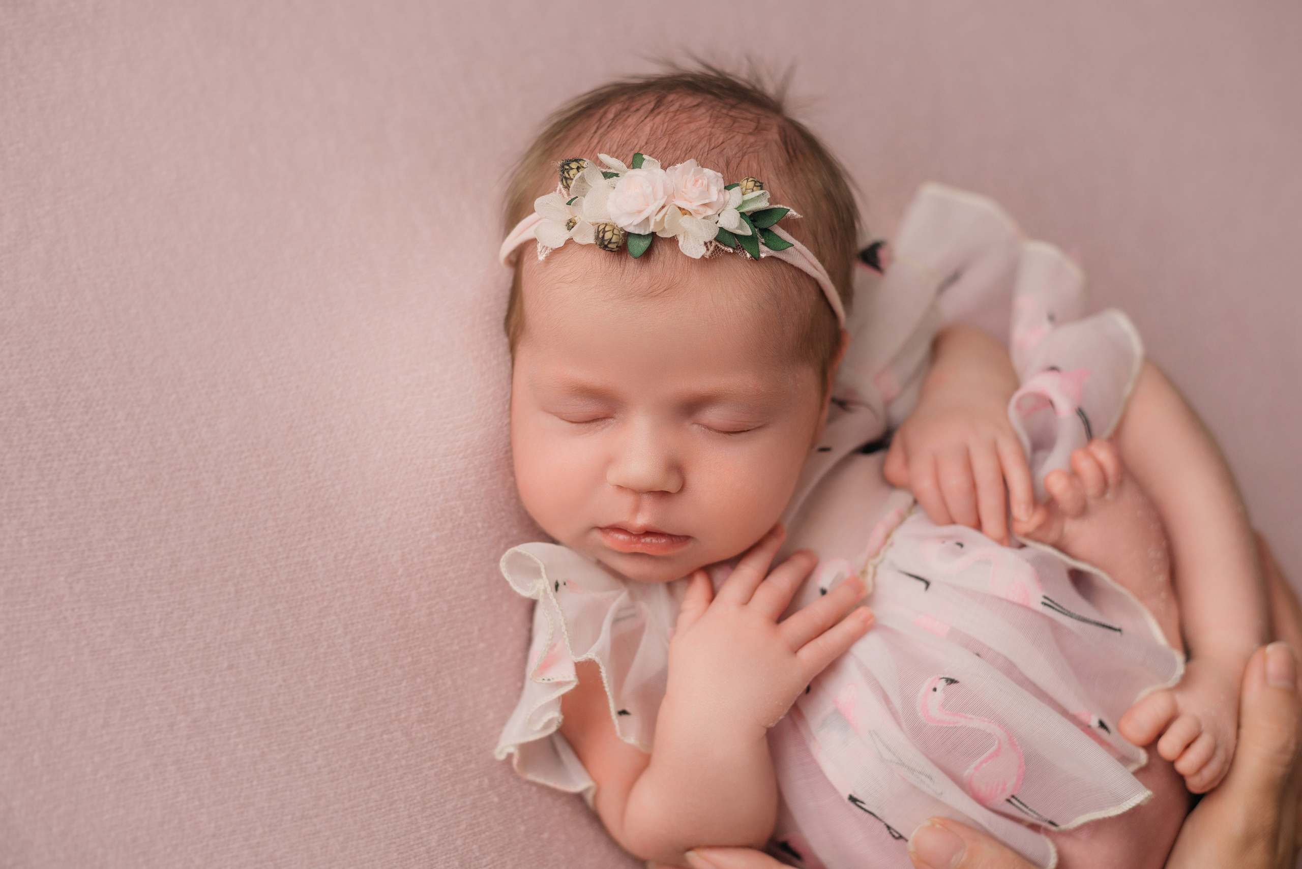 Амелия. Фотограф новорожденных Белгород