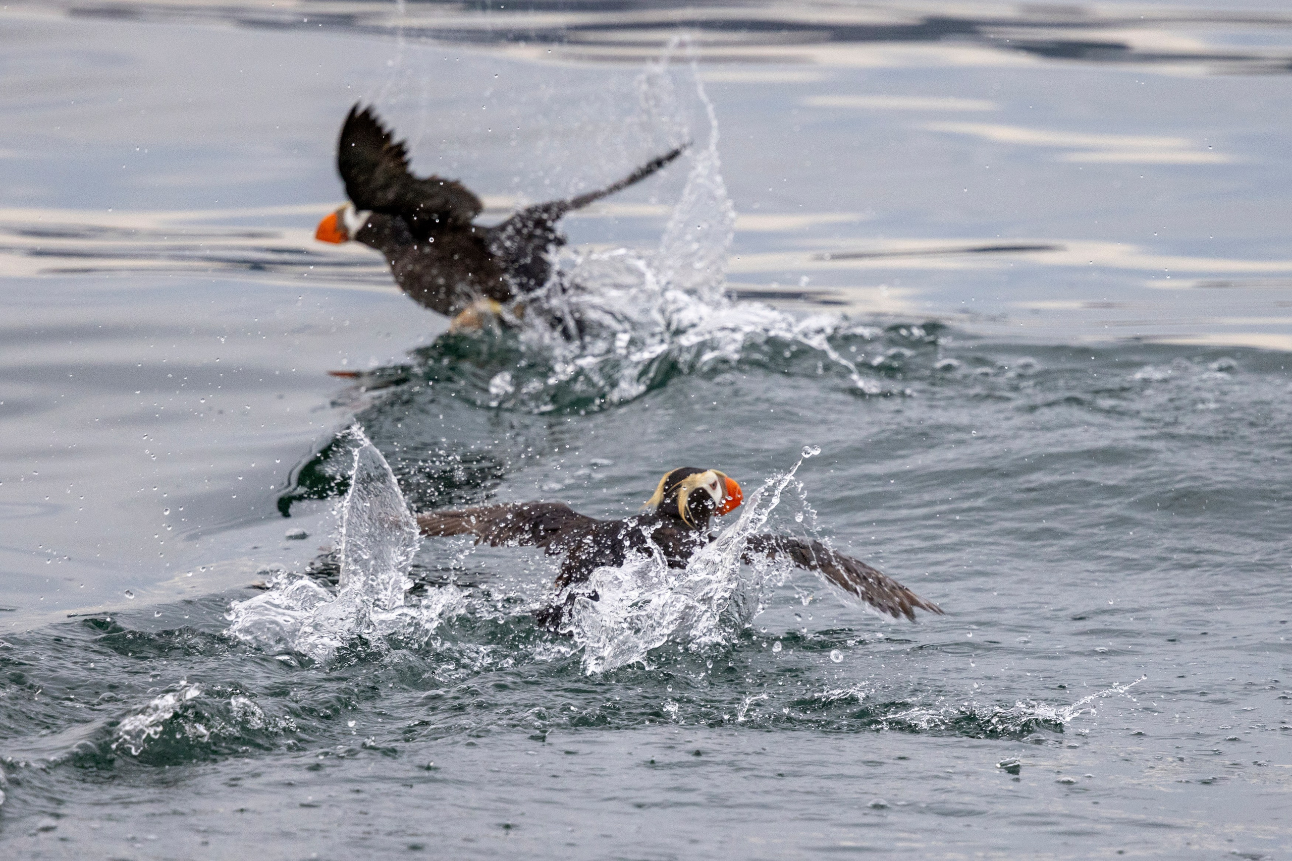 Камчатка + Сахалин — экспедиция в два региона за одну поездку. Время Камчатки: чтобы найти свой путь, нужно скорость умножить на время