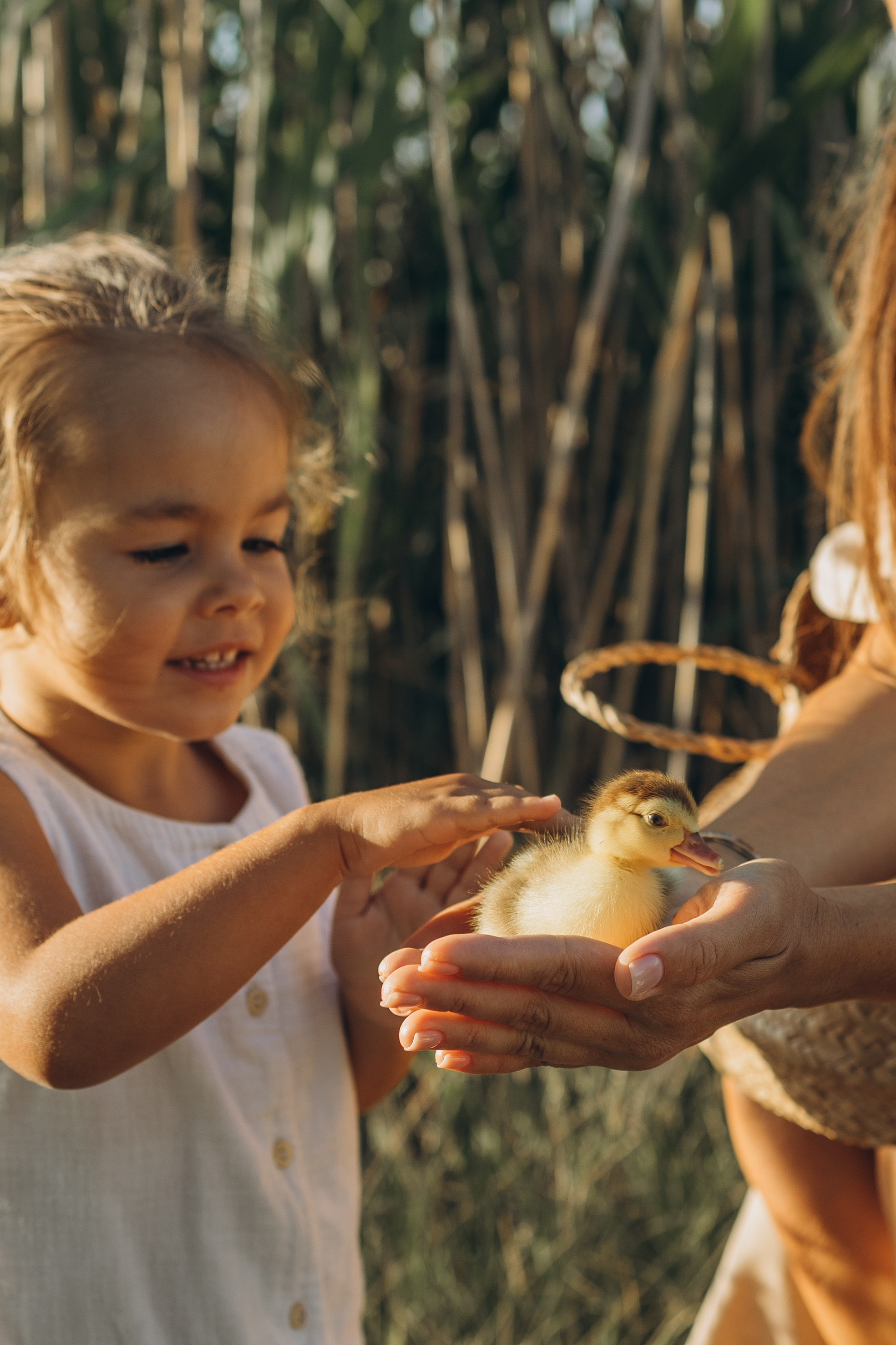 Алина и Алиса. Семейный фотограф в Москве Виктория Ястребинская