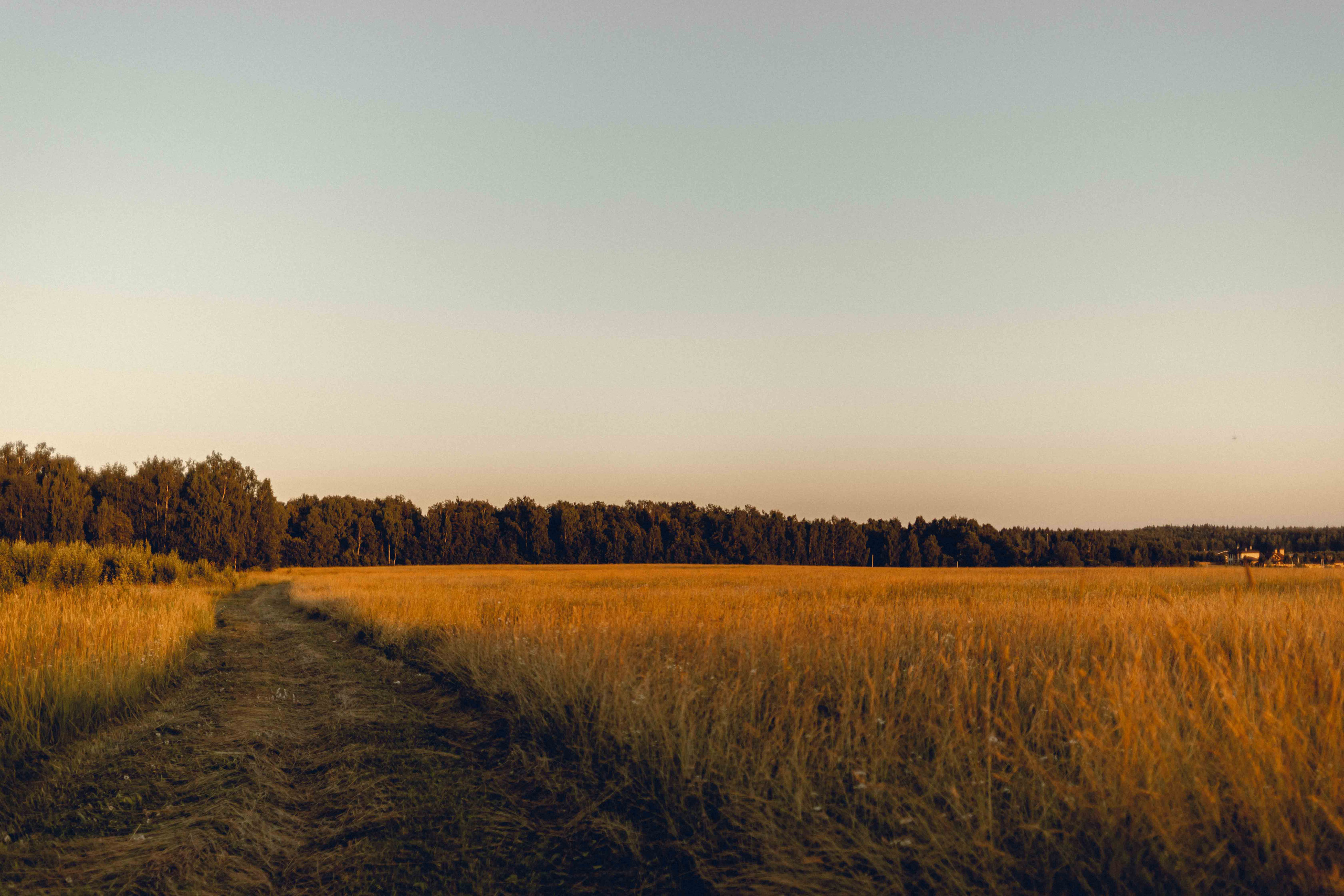Настя и Мирон. Семейный фотограф в Москве